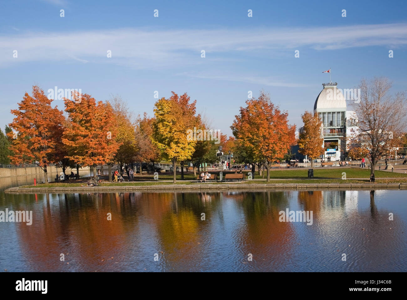 Reihe von Ahorn Acer Bäume im Bassin Bonsecours und Pavillon im Herbst wider, den Alten Hafen von Montreal, Quebec, Kanada. Stockfoto