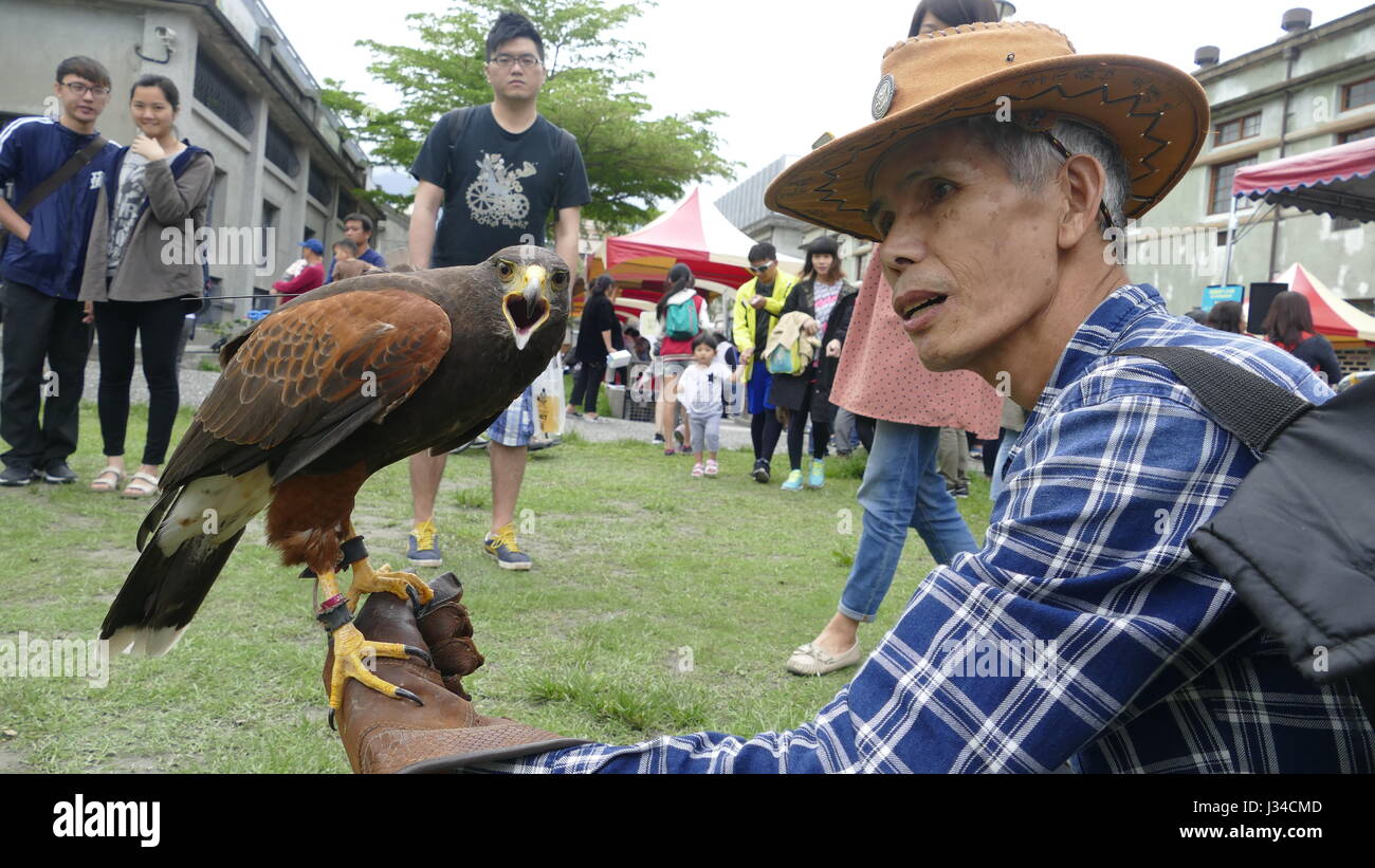 Hualien, Taiwan - 29. April 2017: Hualien County Kultur kreative Original Eagle-Show Stockfoto