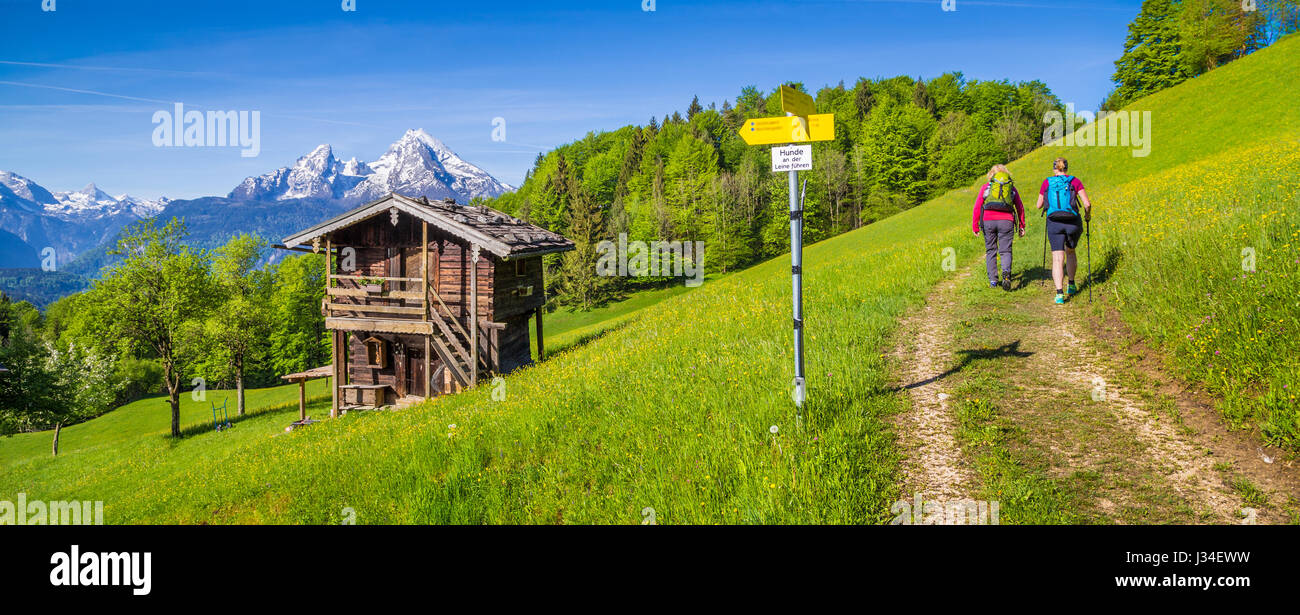 Panoramablick auf der idyllischen Berglandschaft der Alpen mit Wanderer auf Wanderweg entlang frische grüne Almen, Blumen und altes traditionelles Stockfoto