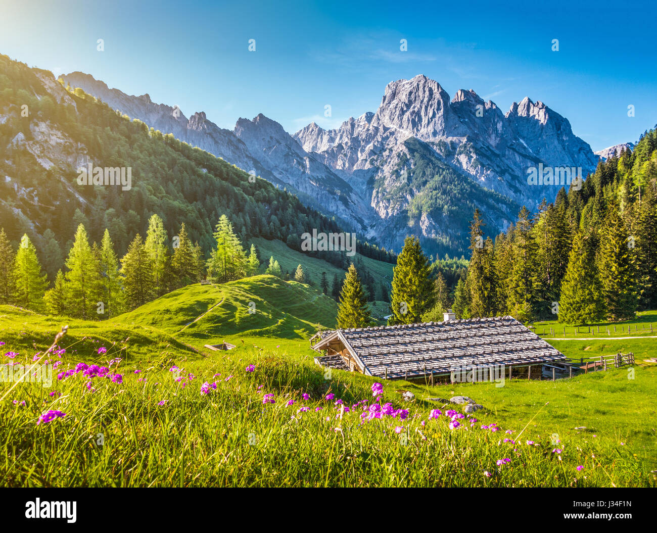 Idyllische Landschaft in den Alpen mit traditionellen Berghütte und frische grüne Almen mit blühenden Blumen bei Sonnenuntergang Stockfoto
