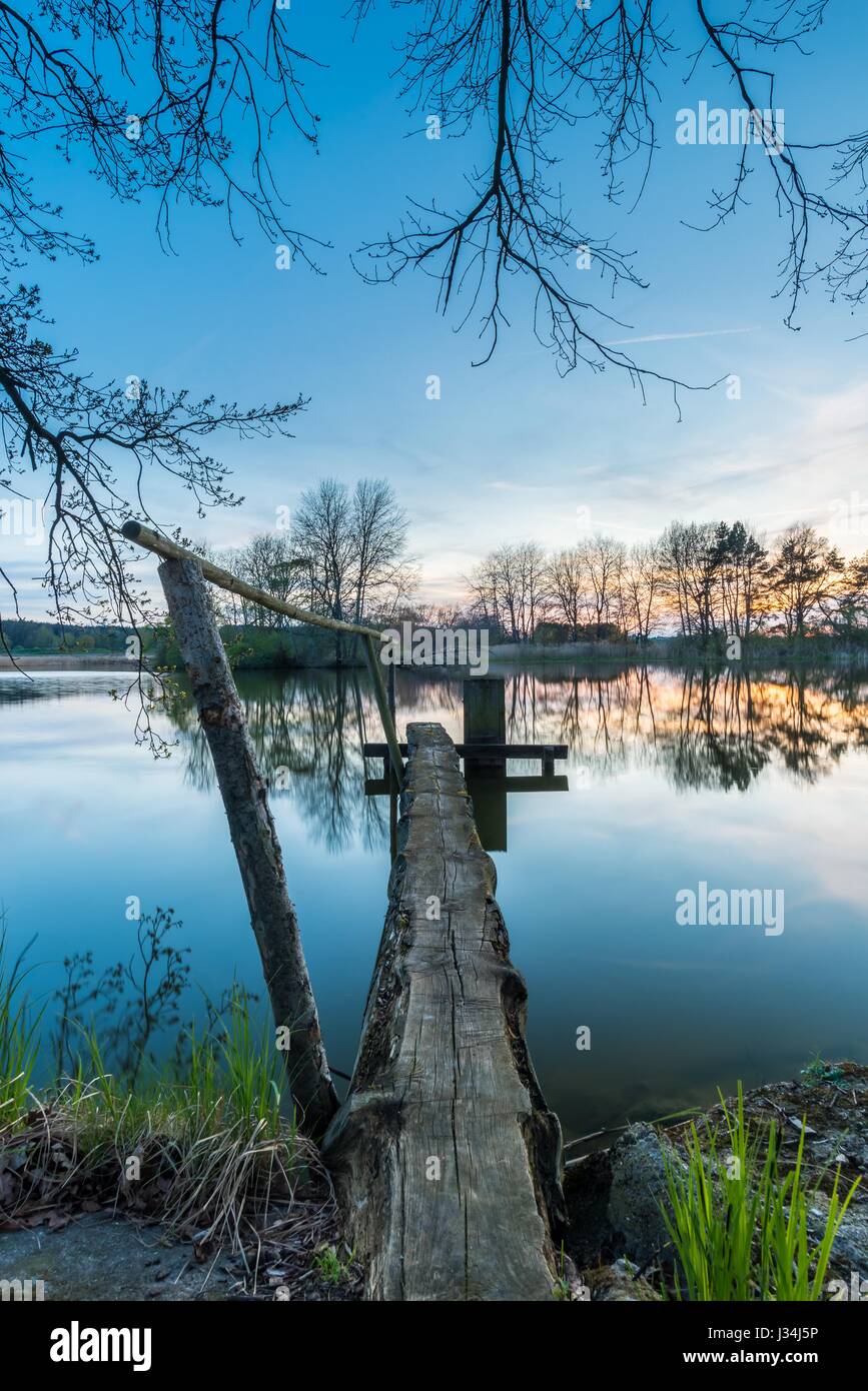 Vertikale Foto Landschaft nach dem Sonnenuntergang mit mehreren Bäumen und hölzerne Schleuse mit Brücke auf der Seite der kleinen Teich. Die schöne Reflexion der Pflanzen Stockfoto