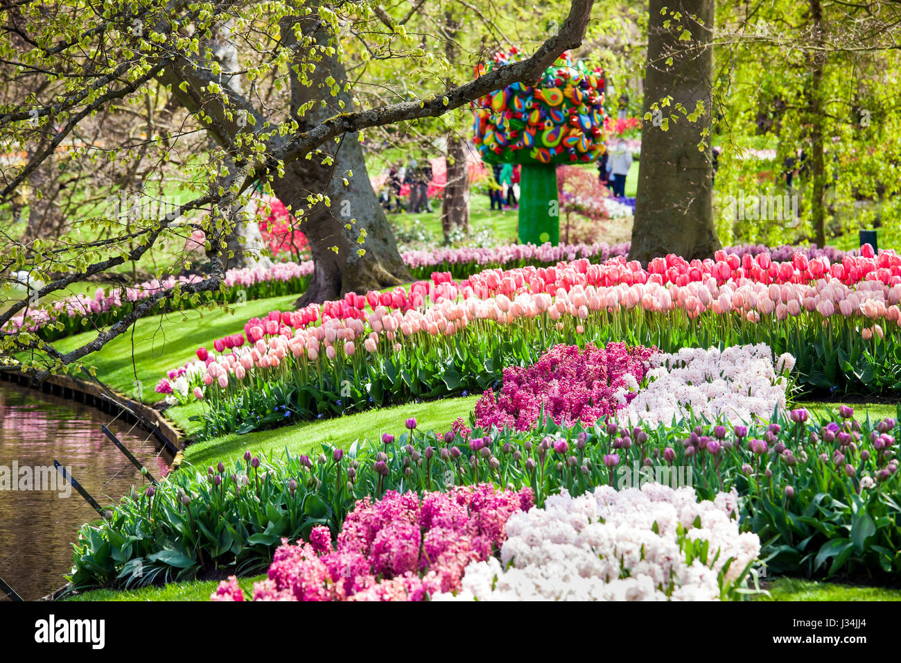 Bunte Tulpen im Keukenhof park Stockfoto