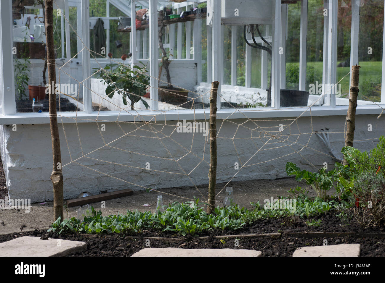 Zeichenfolge, die Stege in einem Garten Chipping, Preston, Lancashire. Stockfoto