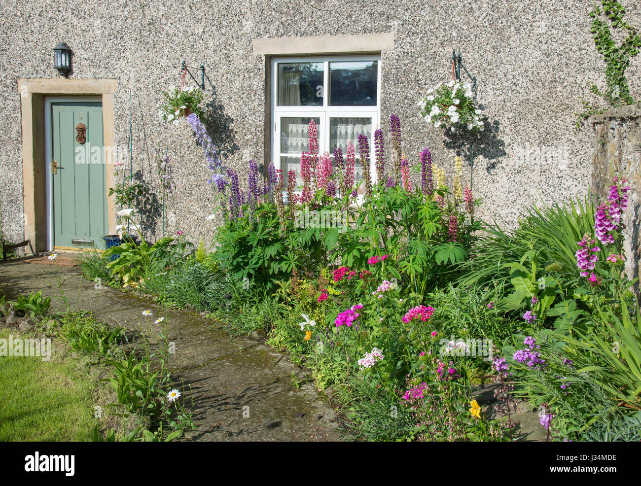 Blumen im Bauerngarten, Chipping, Lancashire. Stockfoto