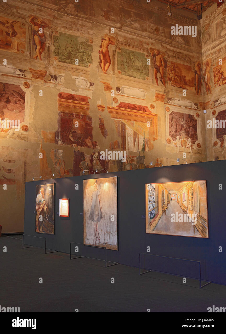 Palast von Gualtieri, Fresken und Ausstellung im Museum Museo Dokumentarfilm e Centro Studi Antonio Ligabue, Gualtieri, Provinz Reggio Emilia, Emilia Stockfoto