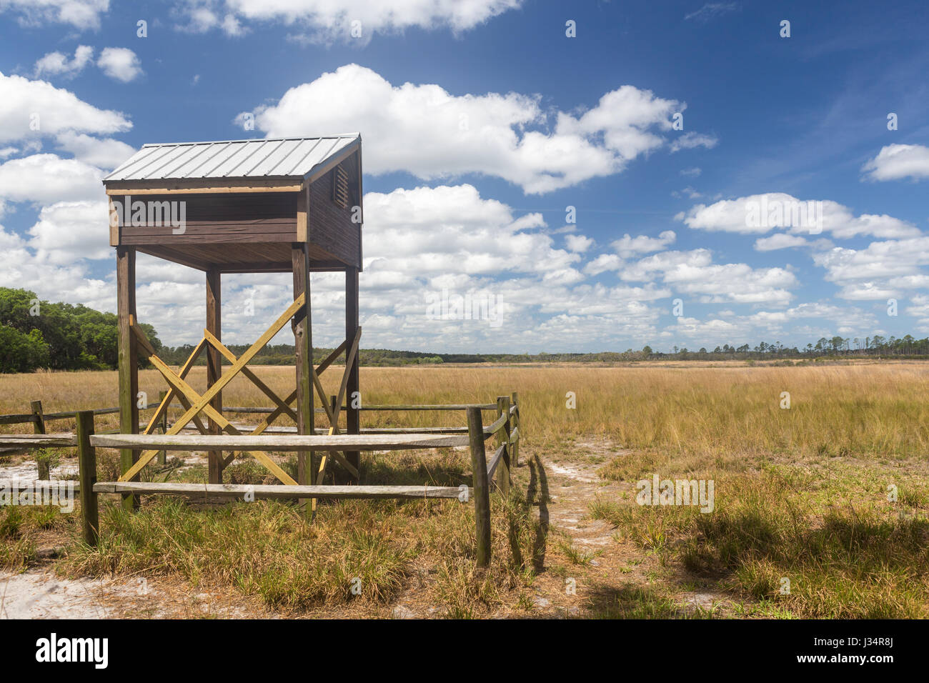 Eine Fledermaus Haus in Hopkins Prairie in Ocala National Forest in Florida. Stockfoto