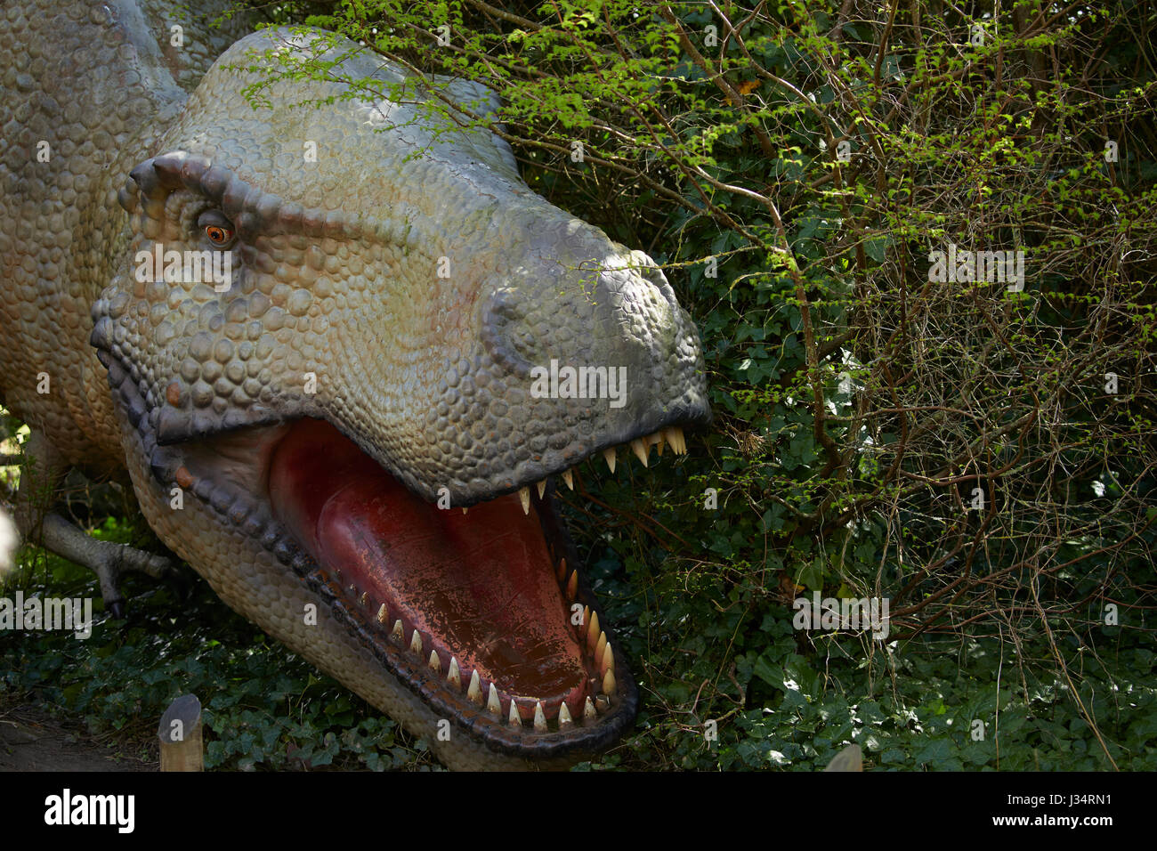 Dinosaurier-Ausstellung im Zoo von Blackpool Stockfoto