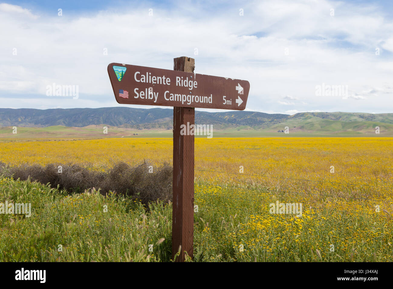 Melden Sie sich am Talboden der Carrizo Plain National Monument in Regie Besucher der Caliente Range und Selby Campingplatz Wildblumen bedeckt Stockfoto