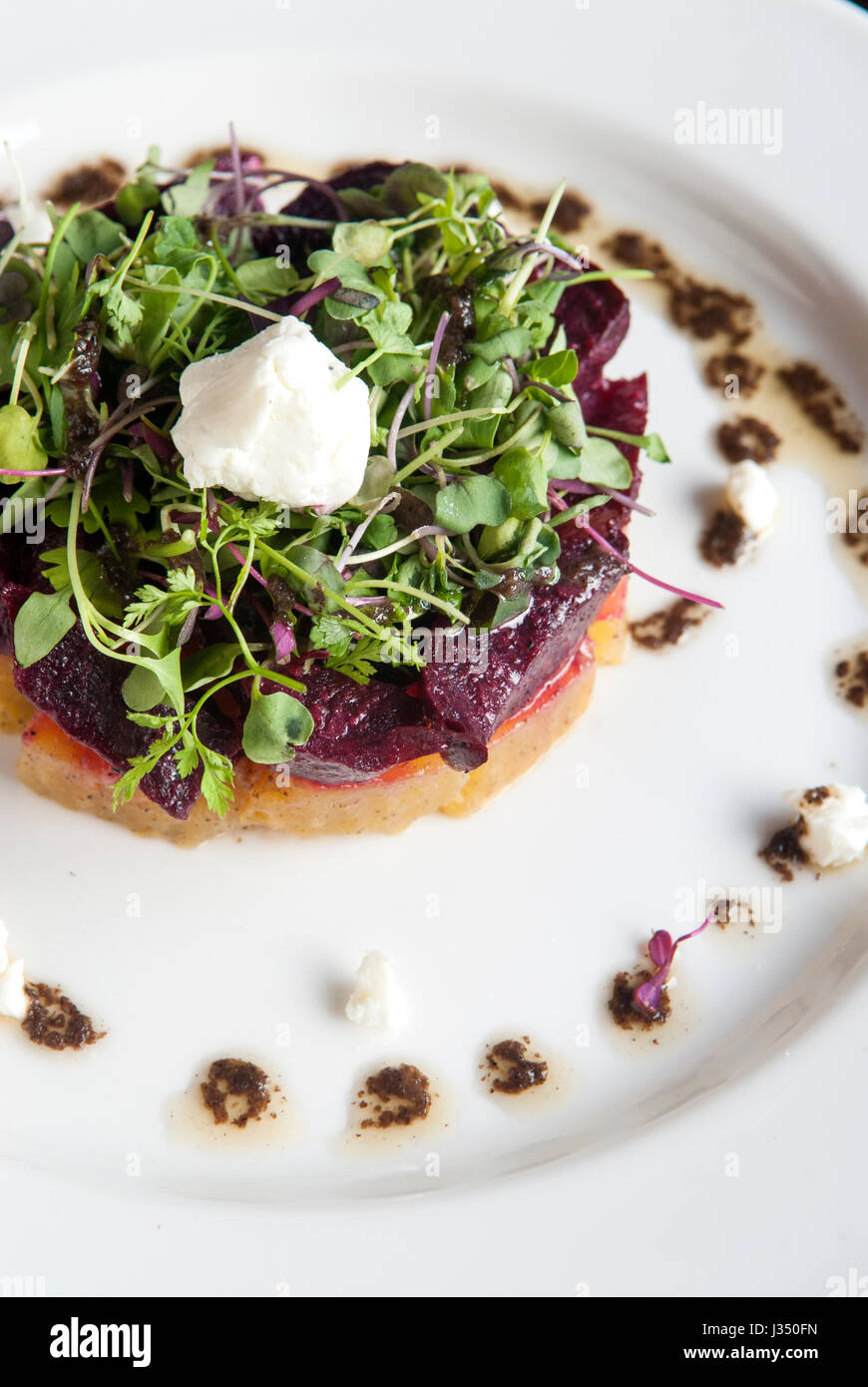 Salat mit gerösteten roten und goldenen Rüben mit frischem Ziegenkäse und eine schwarze Trüffel-vinaigrette Stockfoto