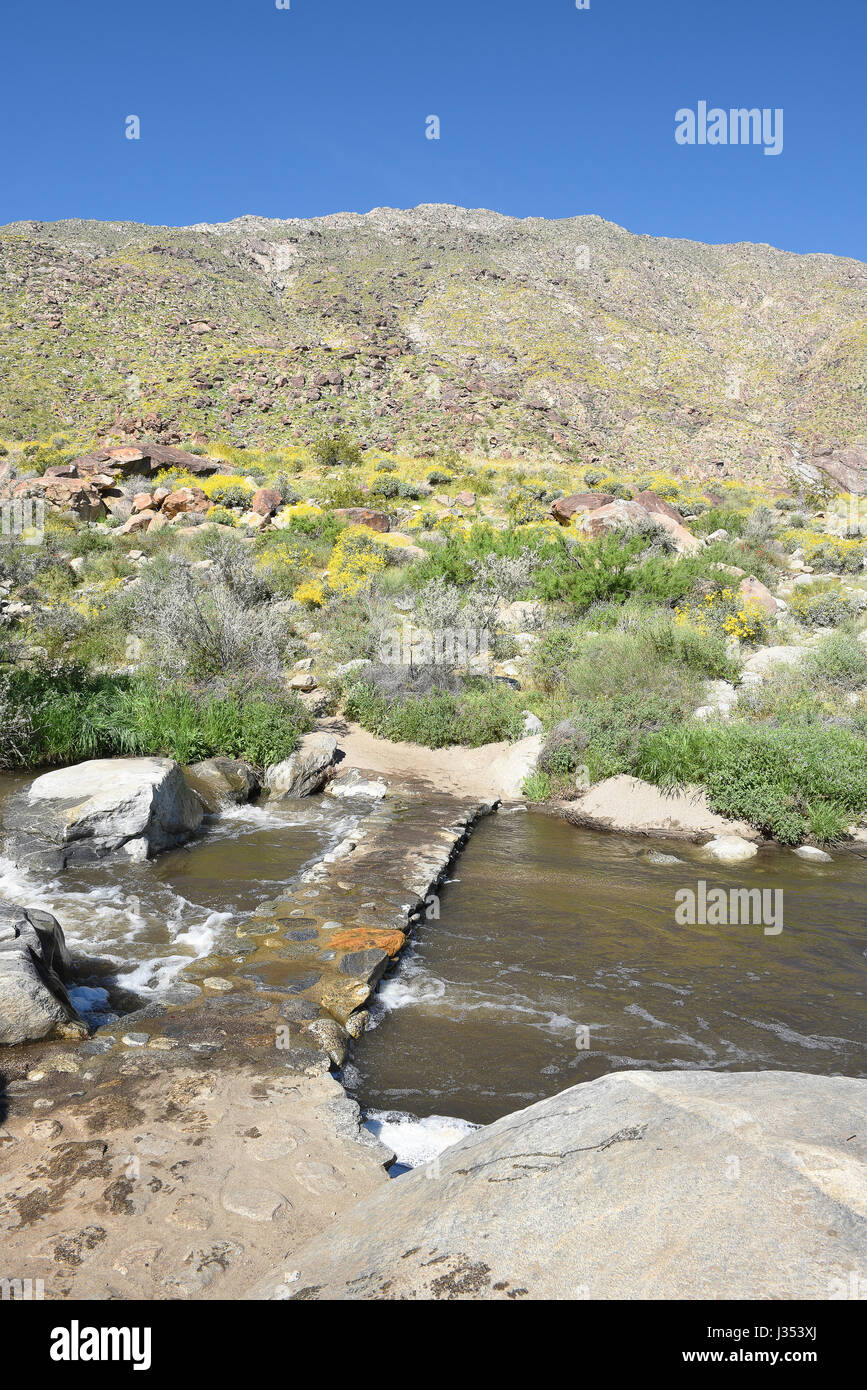 PALM SPRINGS, CA - 24. März 2017: Tahquitz Creek mit Brücke und Trail. Tahquitz Canyon ist eines der schönsten und kulturell sensiblen Bereichen o Stockfoto