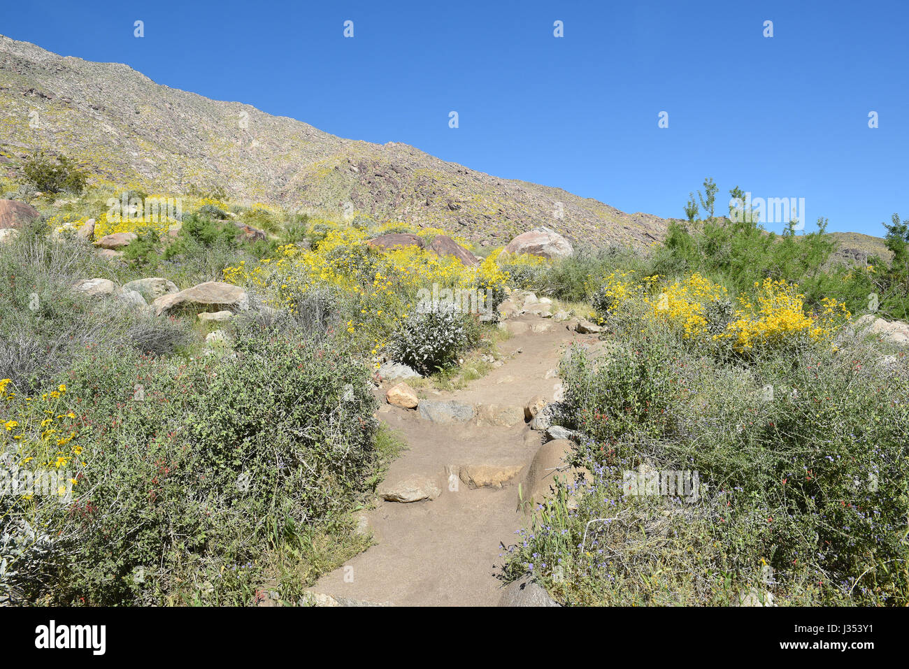 PALM SPRINGS, CA - 24. März 2017: Tahquitz Canyon Trail. Der Canyon ist eines der schönsten und kulturell sensible Gebiete von Agua Caliente Stockfoto