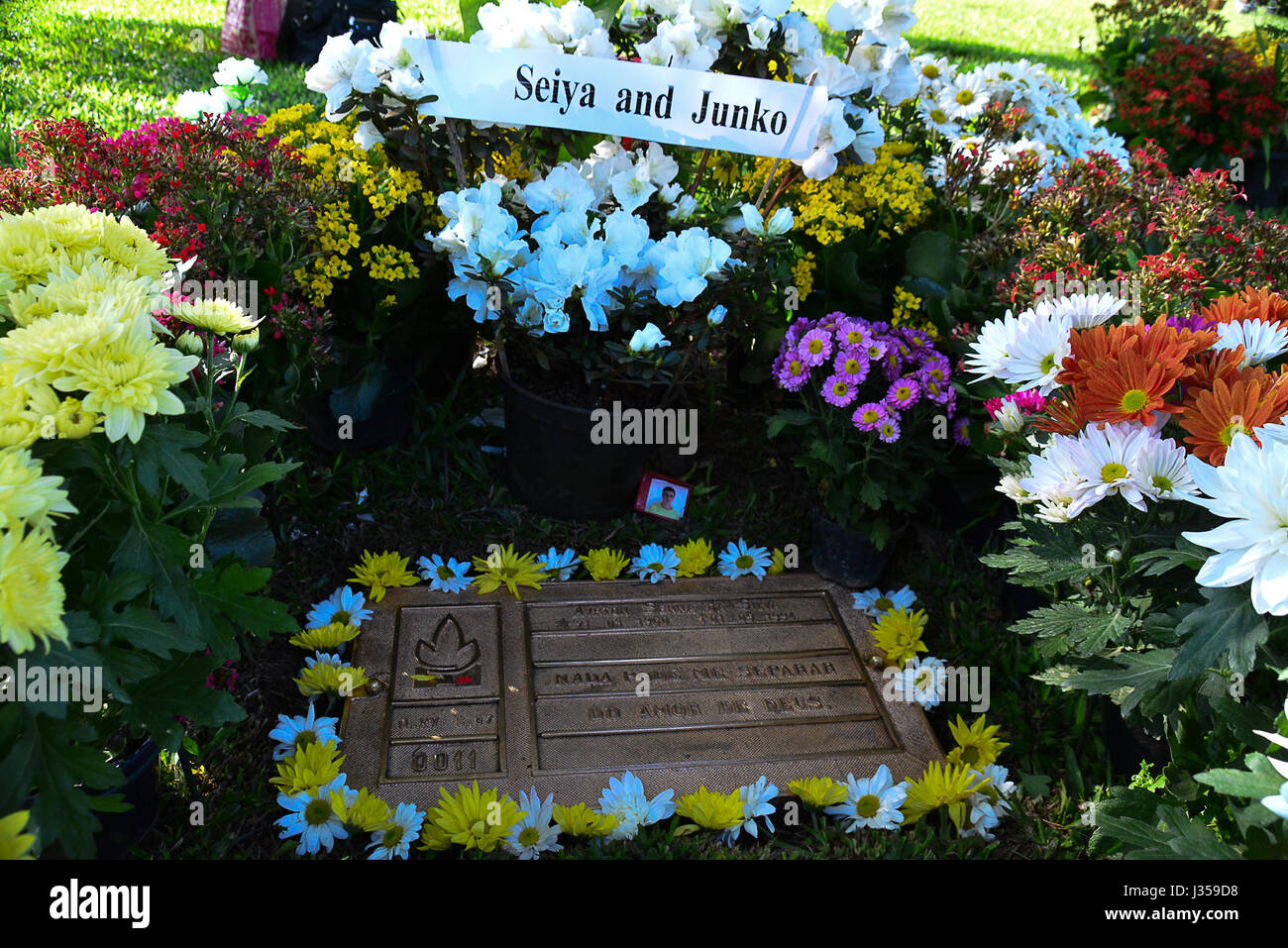 Grab ayrton senna -Fotos und -Bildmaterial in hoher Auflösung – Alamy