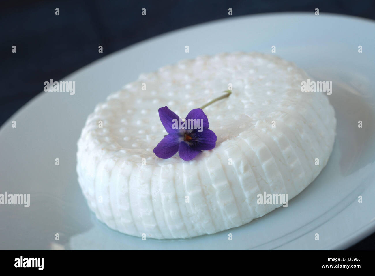 Frischen weichen Ziegenkäse auf weißen Teller mit Frühlingsdekoration Blume; Nahaufnahme Stockfoto