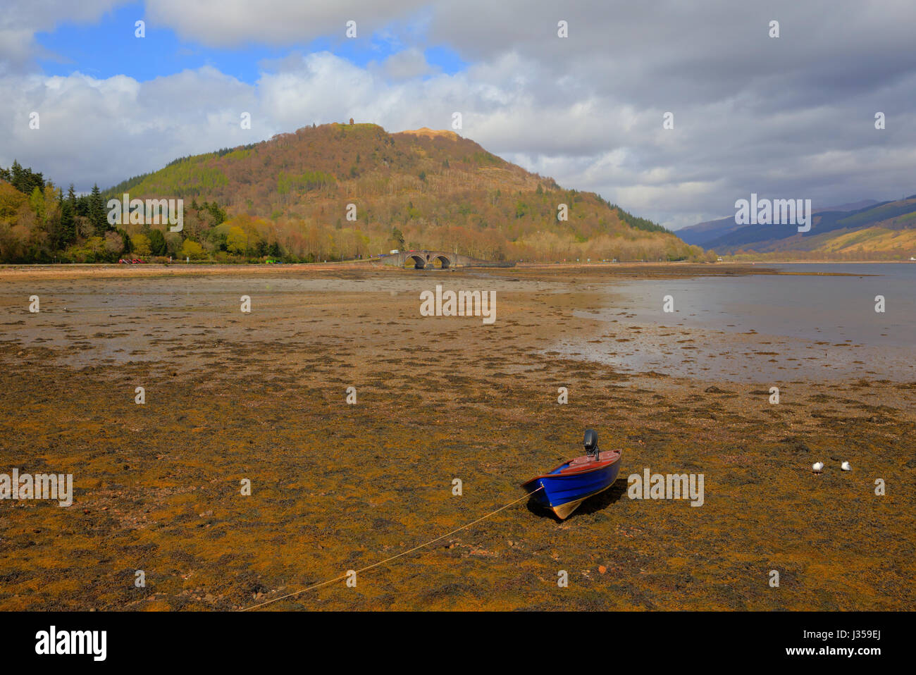 Inveraray Argyll und Bute Schottland UK schottischen Stadt Blick über Loch Fyne mit Boot Stockfoto