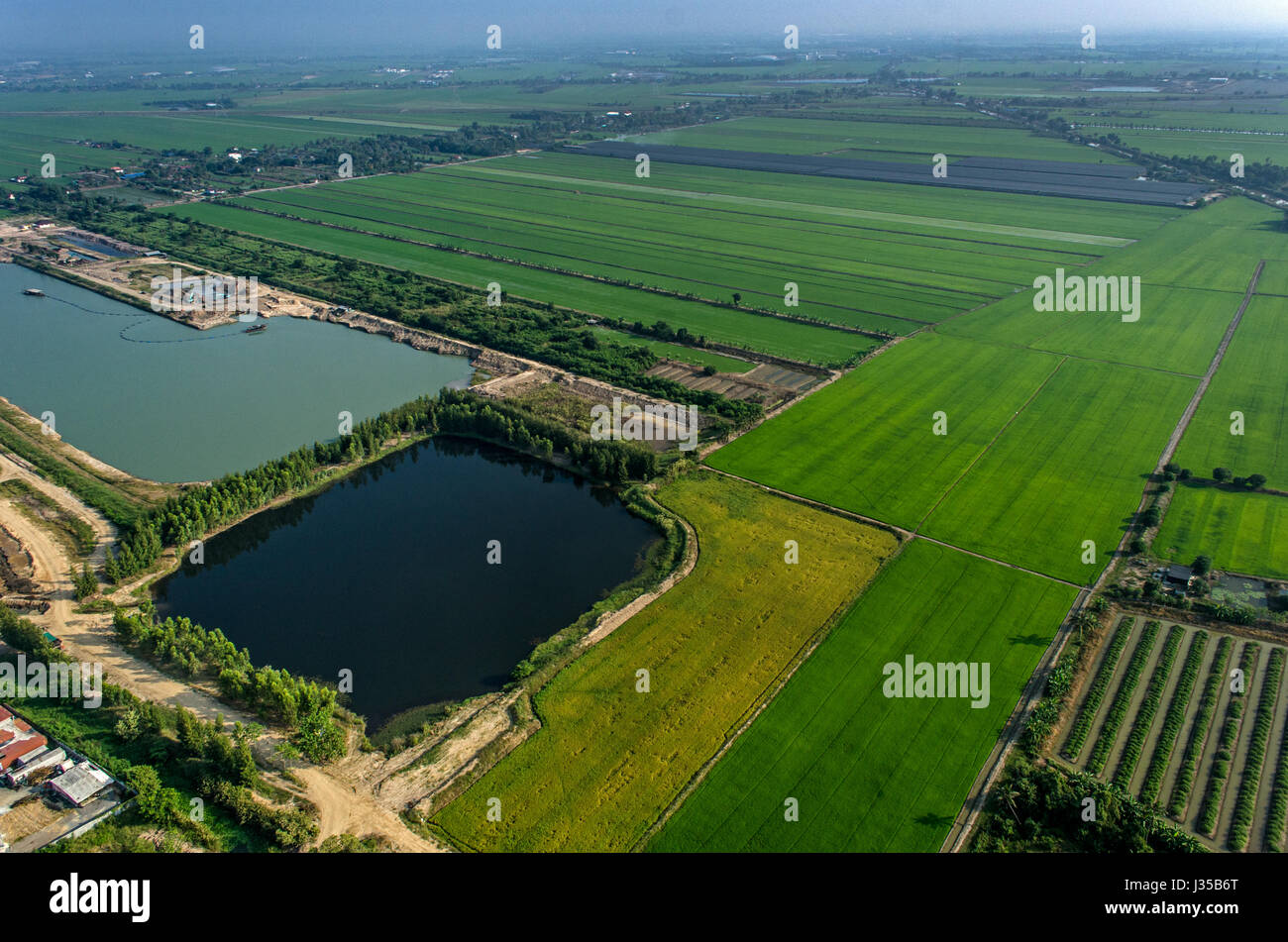 Ökologischen Landbau, Landwirtschaft Luftaufnahmen in Asien Stockfoto