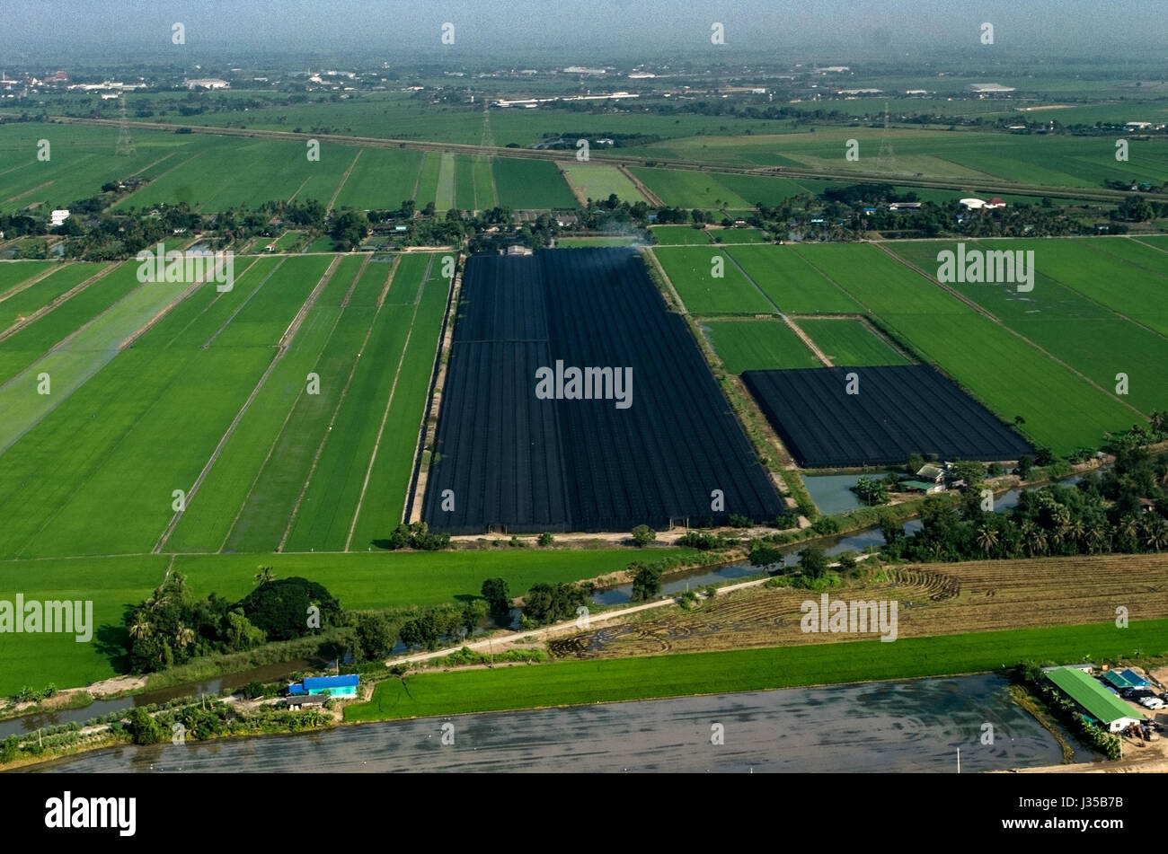 Ökologischen Landbau, Landwirtschaft in Thailand Luftaufnahmen Stockfoto