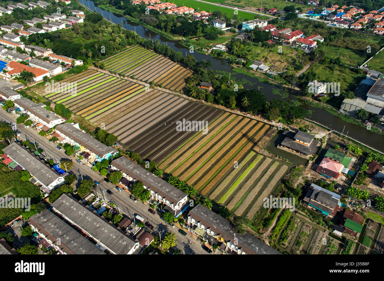 Bio Gemüse, Landwirtschaft, Landwirtschaft in Thailand Luftaufnahmen Stockfoto