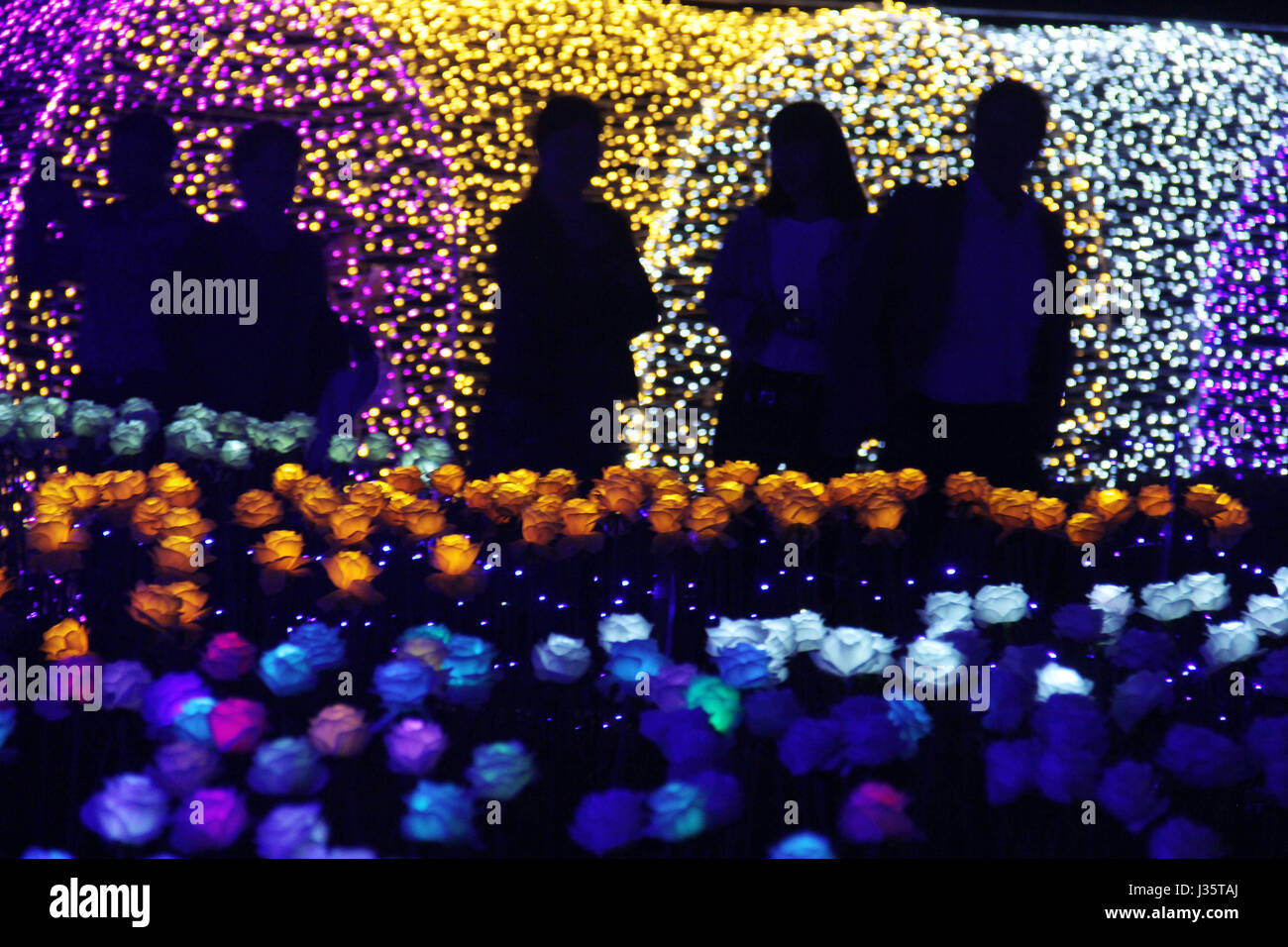 Hangzhou, Hangzhou, China. 3. Mai 2017.  . Mehr als 5.000 Rose-förmigen Lichter sehen eine Beleuchtung Festival im Tonglu County, Hangzhou, Ost-China Zhejiang Provinz, 3. Mai 2017. Bildnachweis: SIPA Asien/ZUMA Draht/Alamy Live-Nachrichten Stockfoto