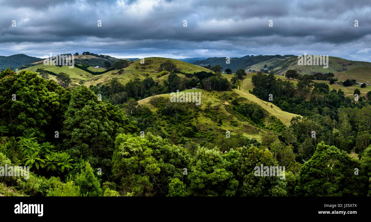 Ländliches Motiv im Great Otway National Park, Victoria Stockfoto