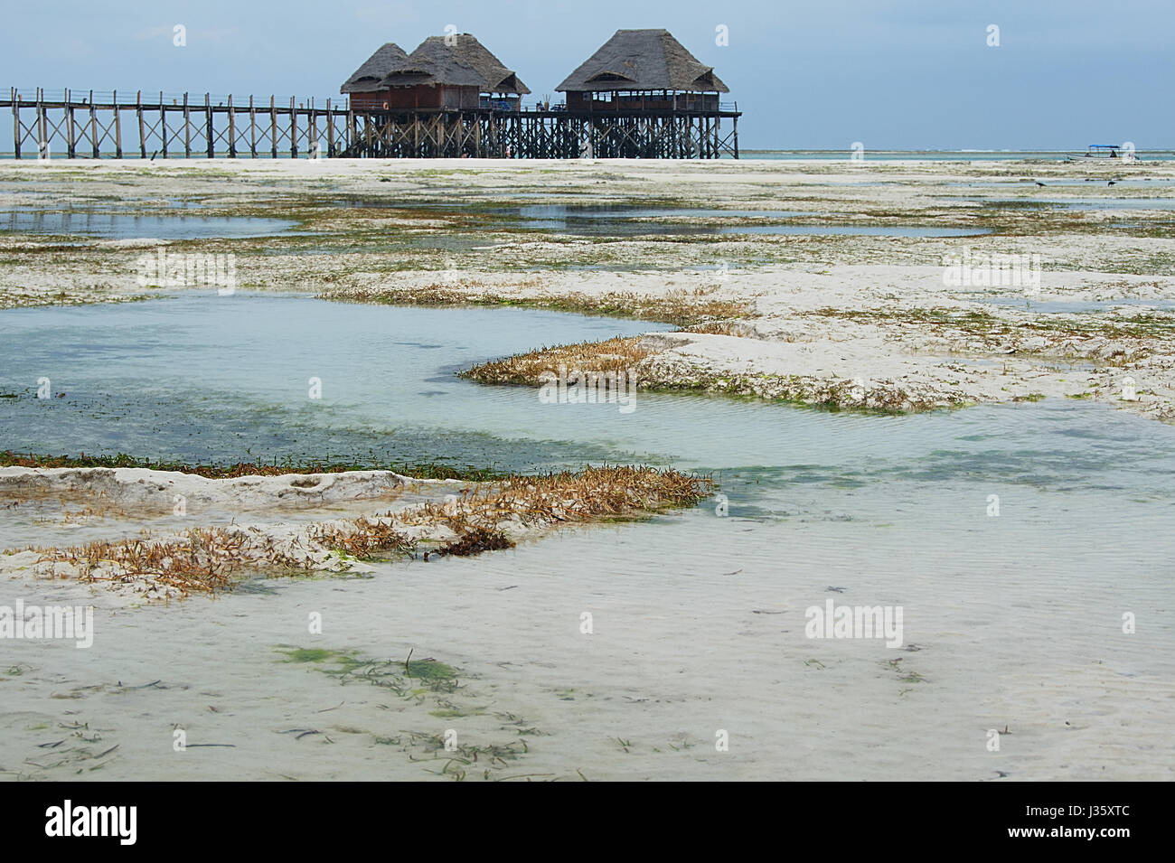 Tropischer Strand mit Ebbe und Holz Palafitte auf Hintergrund - Zanzibar Island - Tansania - Afrika Stockfoto