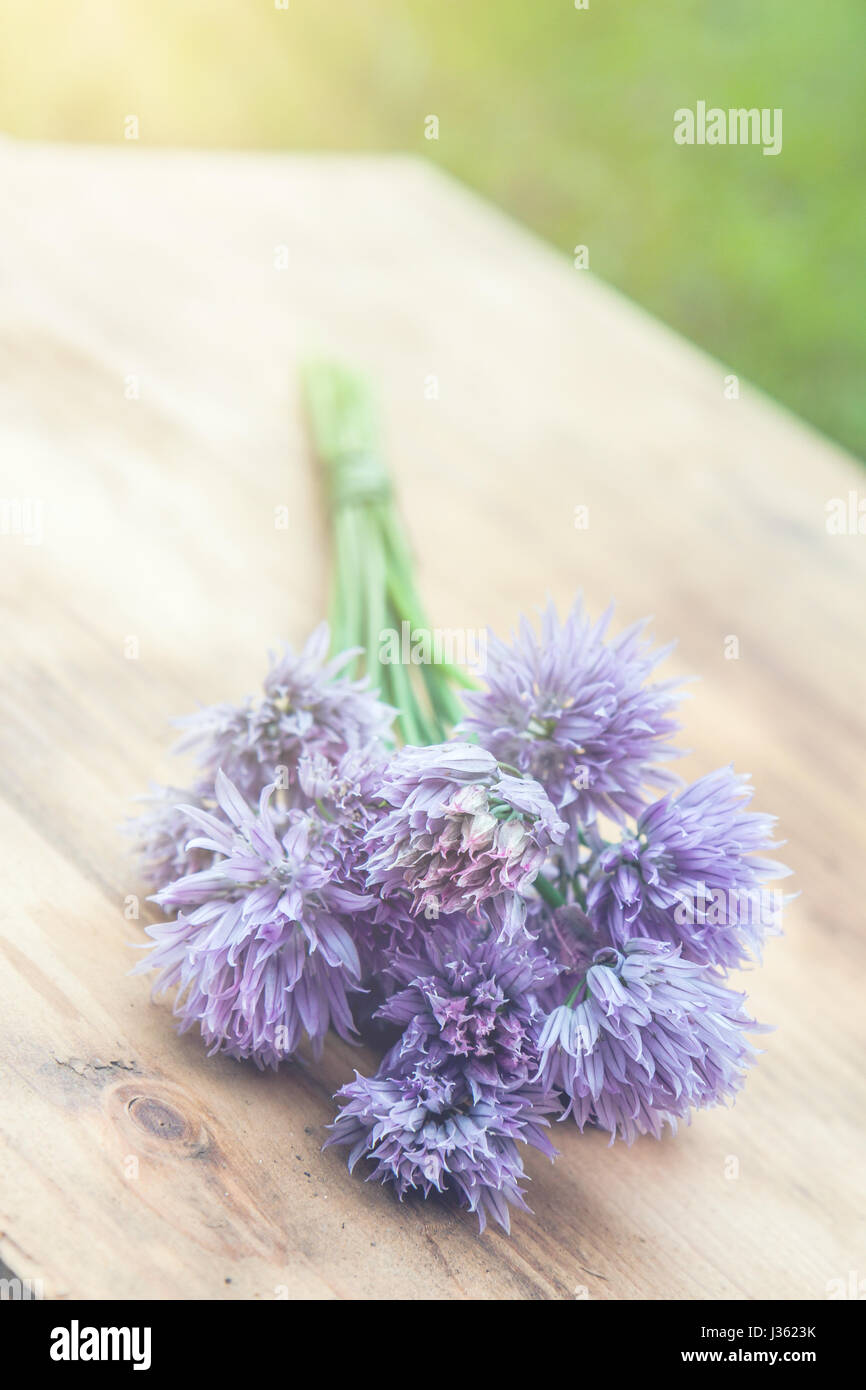 Blume-Schnittlauch gebunden in ein Snop auf ein natürliches Holz Schneidebrett Stockfoto