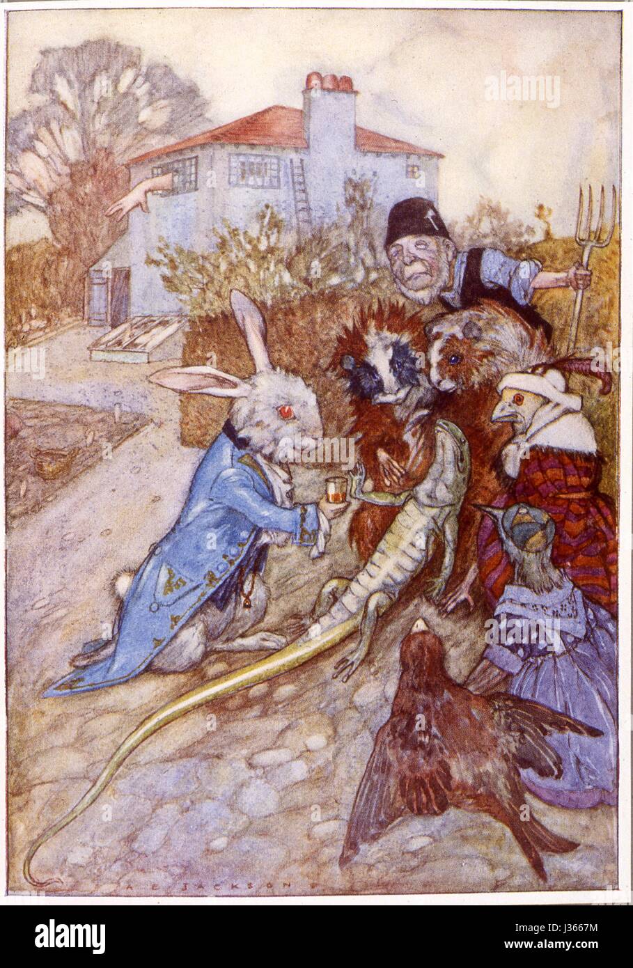 Illustration von a.e. Jackson Alices Abenteuer im Wunderland von Lewis Carroll New York, Hodder und Stoughton, 1914. London, Henri Frowde, 1915.    Das weiße Kaninchen Stockfoto