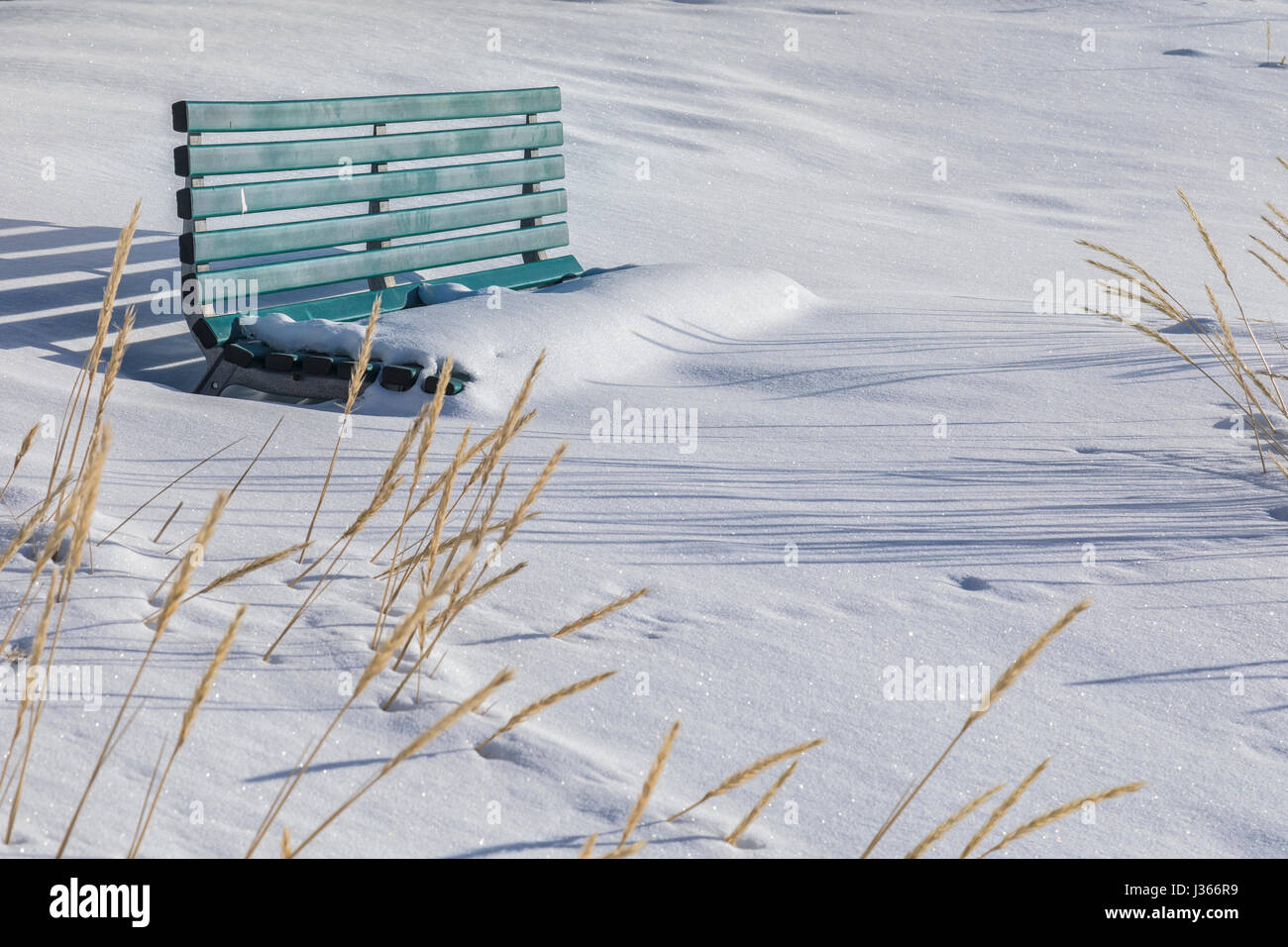 eine Bank mit Schnee bedeckt Stockfoto