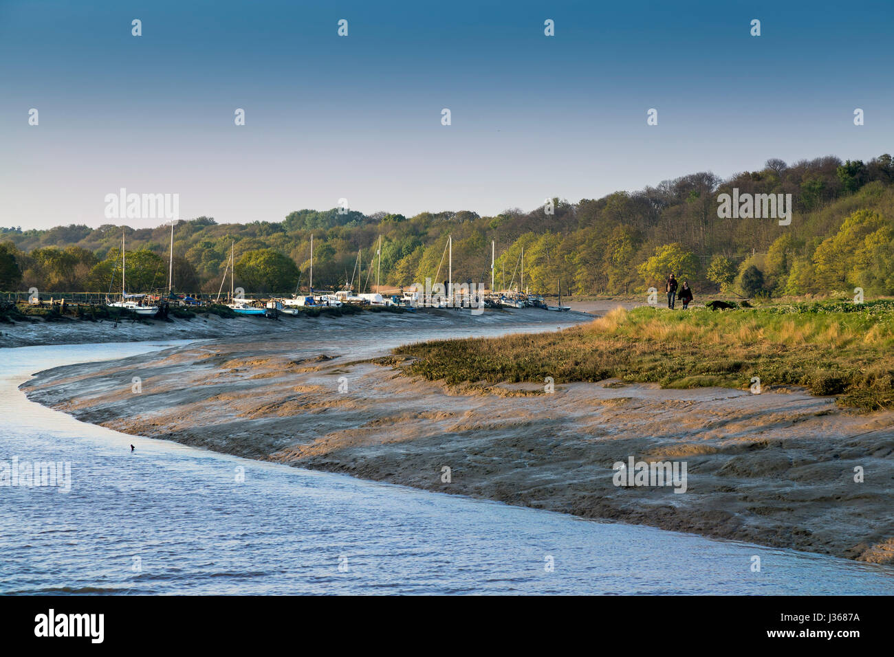 WANDERER AUF DEM FUßWEG AM WIVENHOE IN DER NÄHE VON COLCHESTER, VON ROWHEDGE ÜBER DEN FLUSS COLNE GESEHEN. Stockfoto