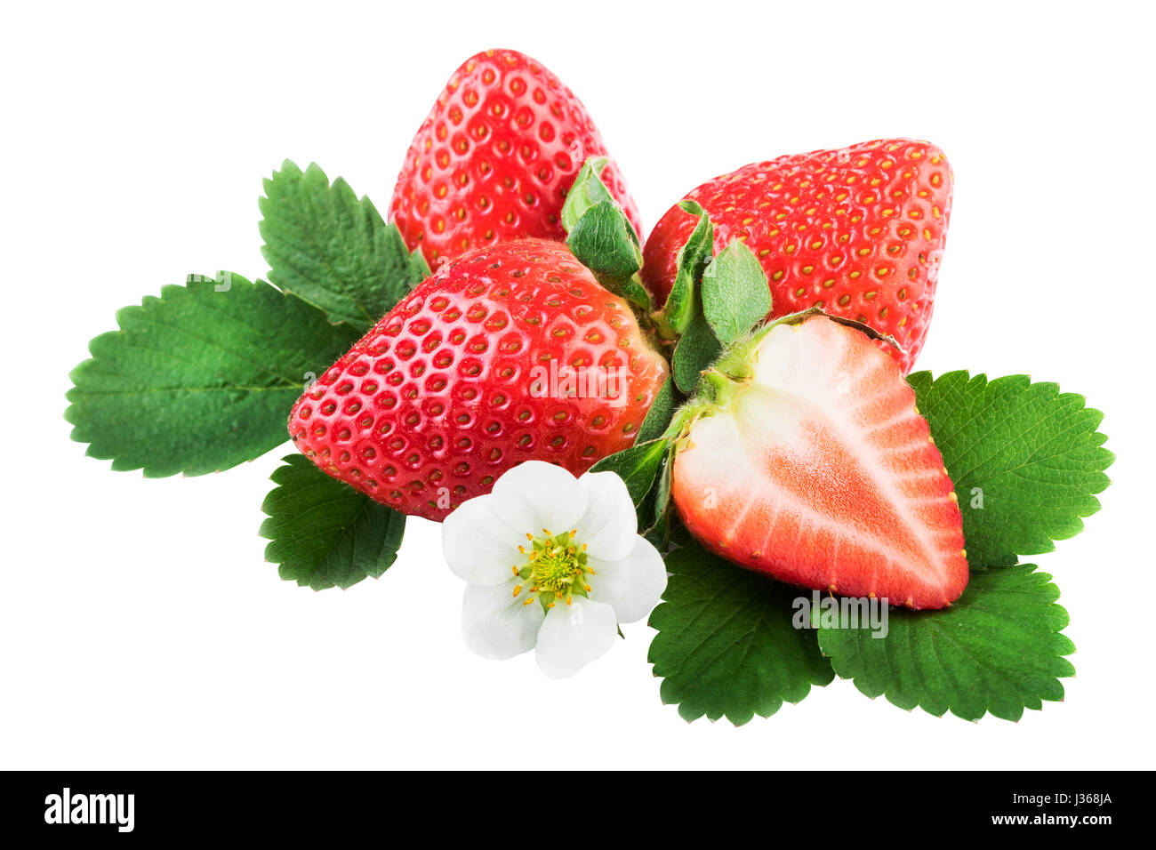 Isolierte Erdbeeren mit Blättern. Ganze und halbe Erdbeere auf weiß mit Beschneidungspfad Stockfoto