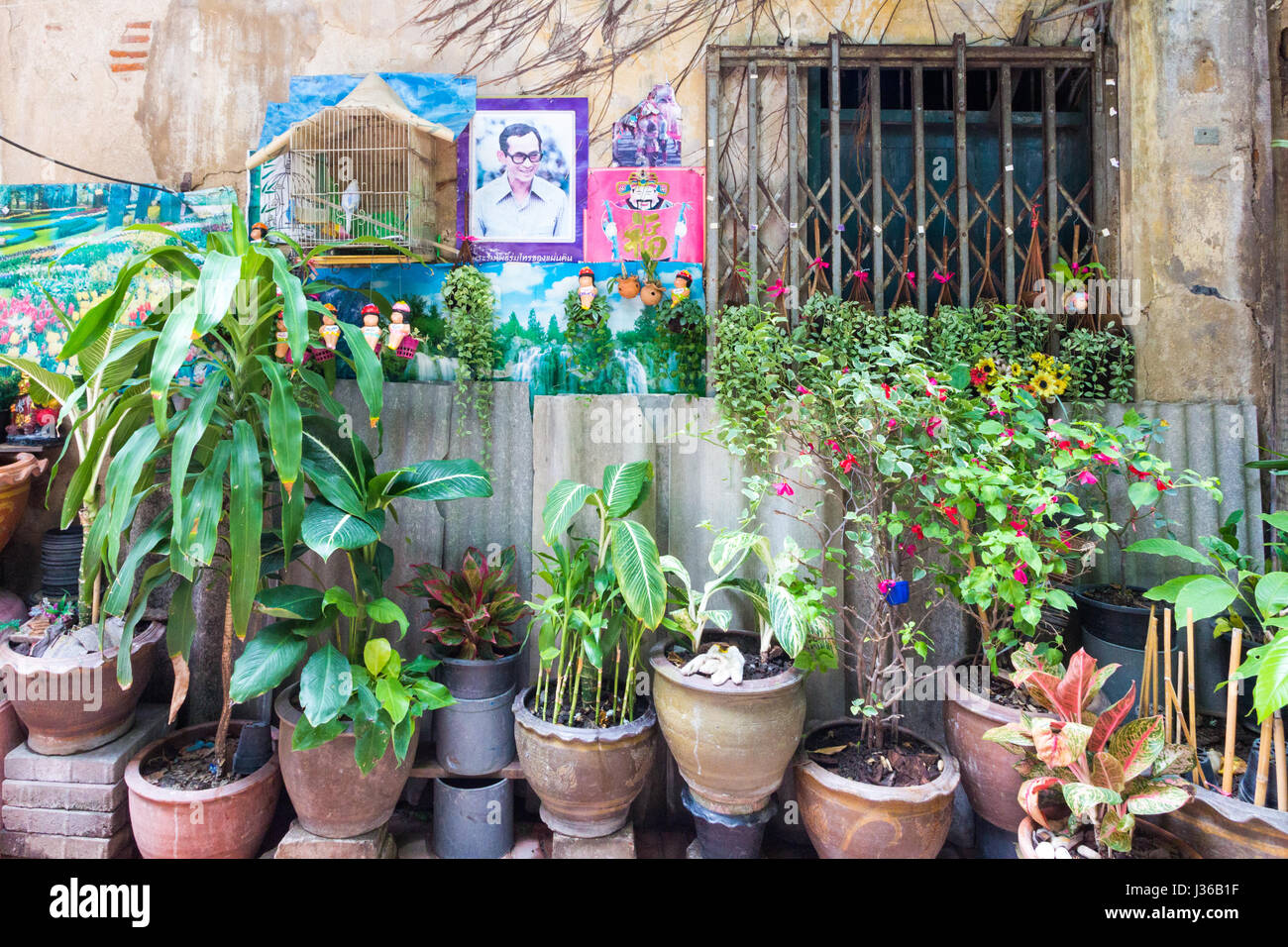 Typisches Haus außen mit Pflanzen und Vögel im Vogelkäfig, in einer kleinen Seitenstraße in Chinatown, Bangkok, Thaland Stockfoto