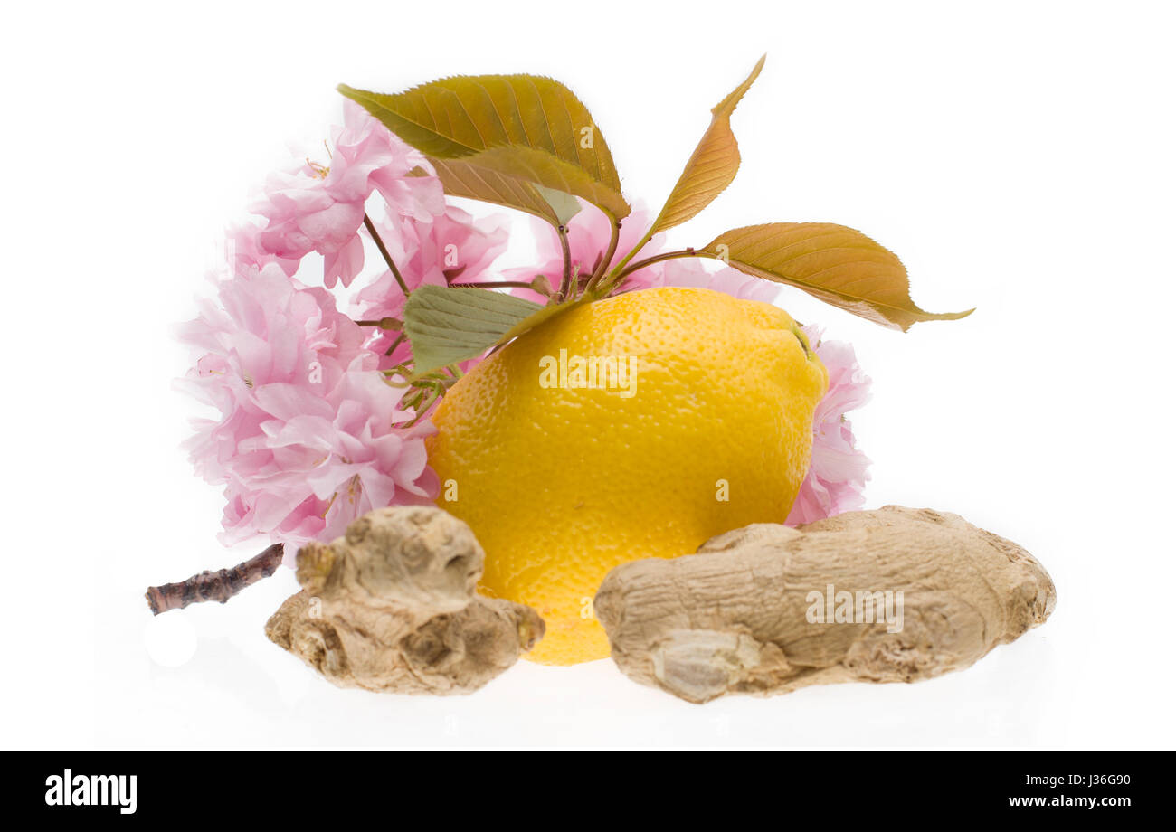 Zitrone und Ingwer isoliert auf weißem Hintergrund Stockfoto