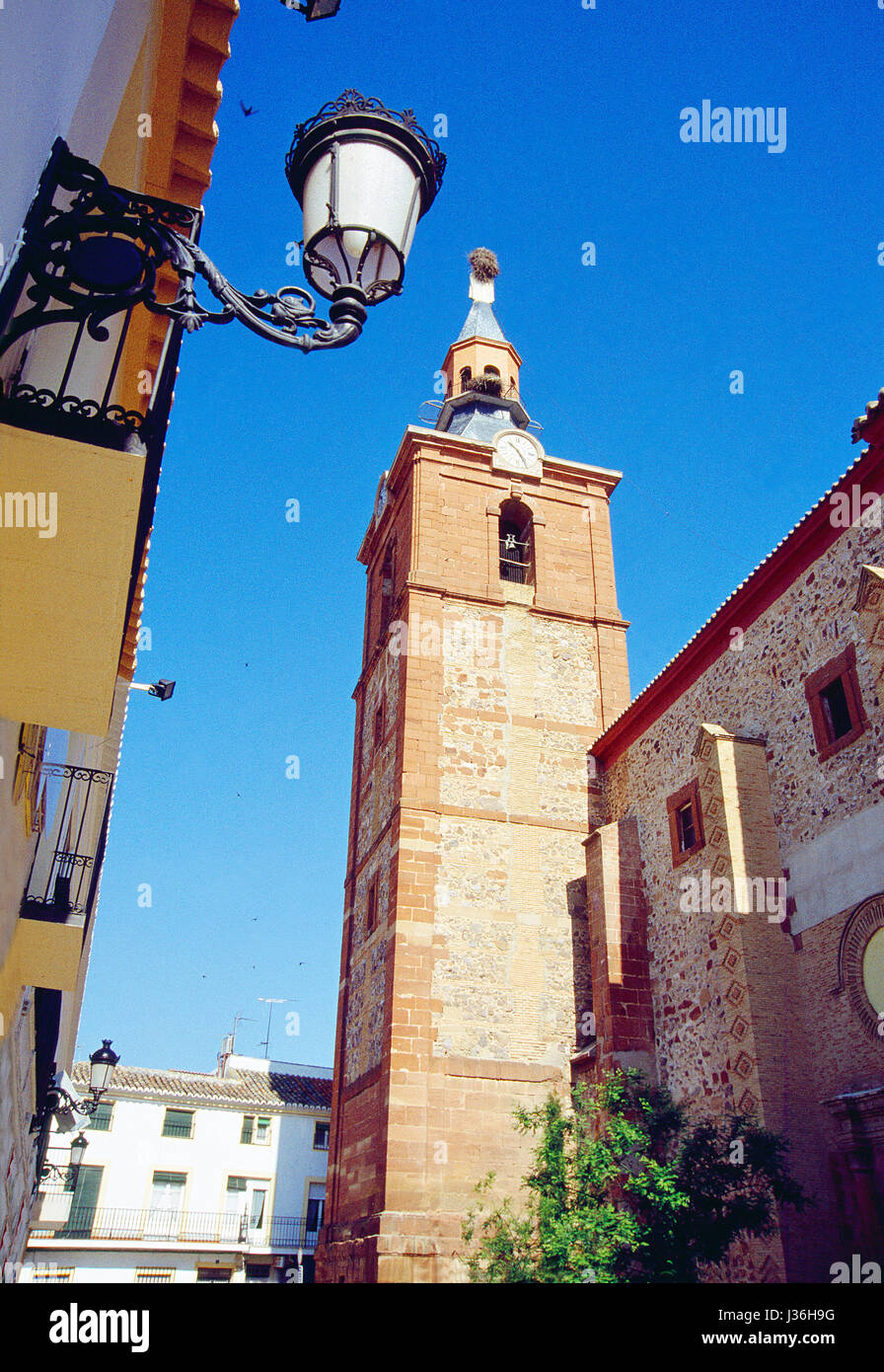 Glockenturm der Kirche. Herencia, Provinz Ciudad Real, Castilla La Mancha, Spanien. Stockfoto