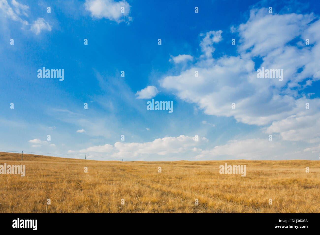 Postkarte, blauer Himmel, Wolke, Grünland, in der Inneren Mongolei, China Stockfoto
