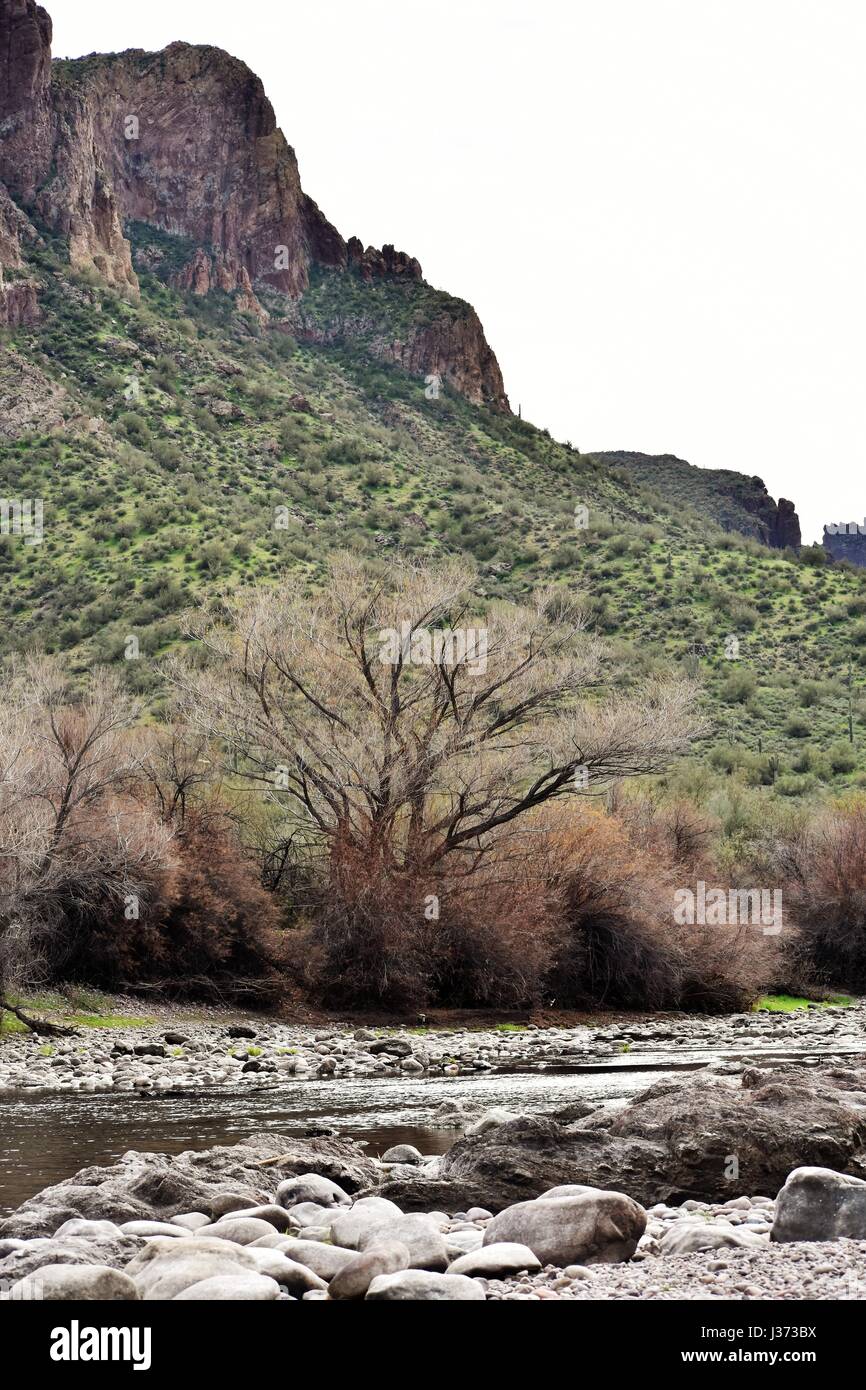 Schöne Aussicht auf einem Berghang von Salt River Stockfoto