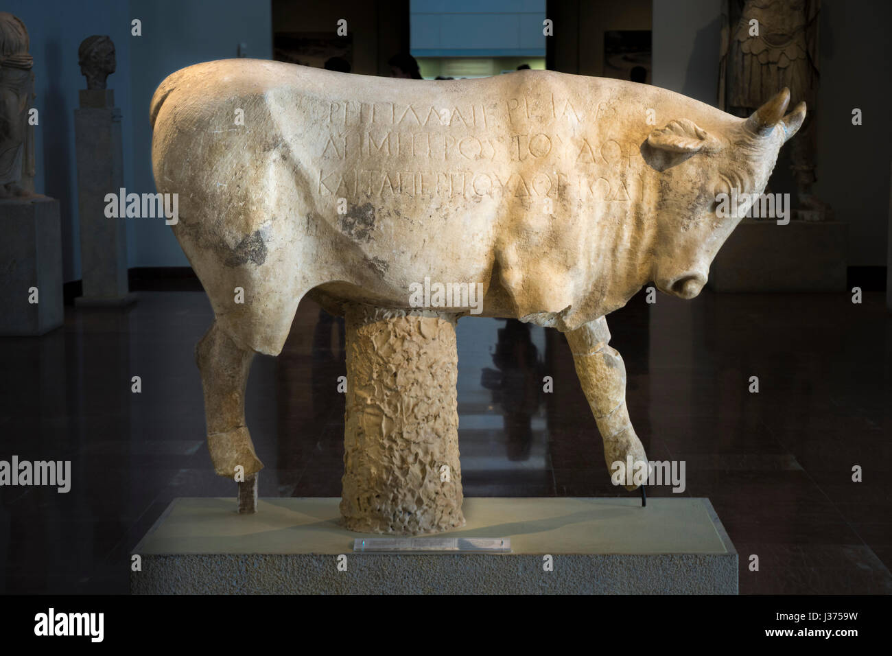 Anzeige des 2. Cen. Statue eines Stieres mit Weihinschrift von Regilla, Ehefrau von Herodes Atticus. Archäologisches Museum, das antike Olympia, Peloponnes, Griechenland Stockfoto