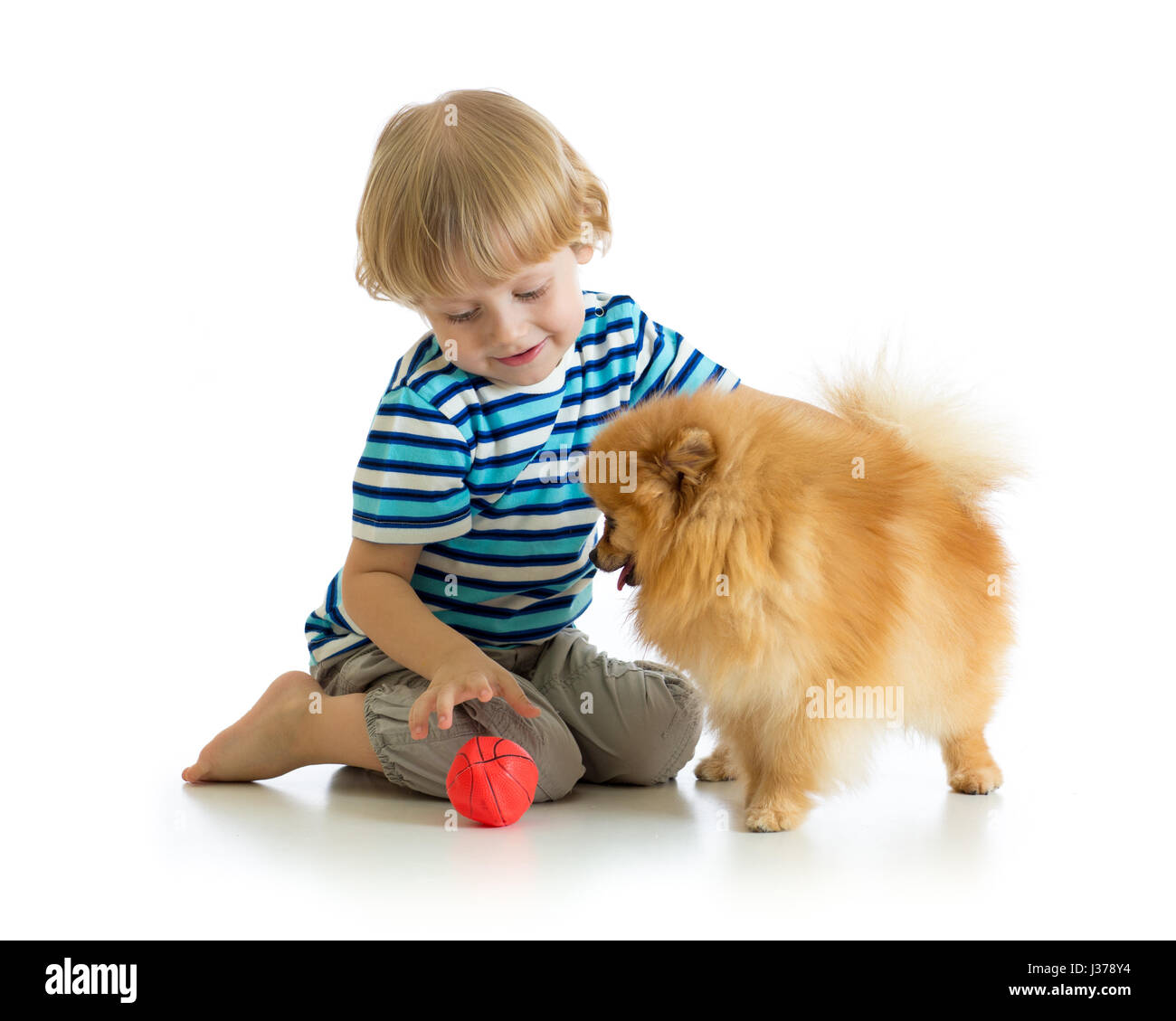 Kleiner Junge spielt mit Hund Spitz, isoliert auf weißem Hintergrund Stockfoto