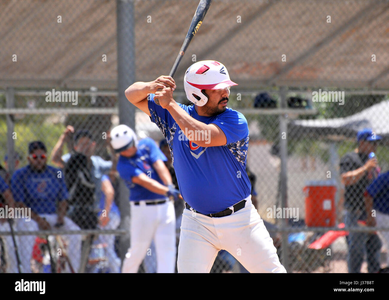 Die Mulos und die Cubs, Teams mit mexikanischen Liga Baseball spielen Meisterschaft auf Mission Manor Park, Tucson, Arizona, USA. Stockfoto