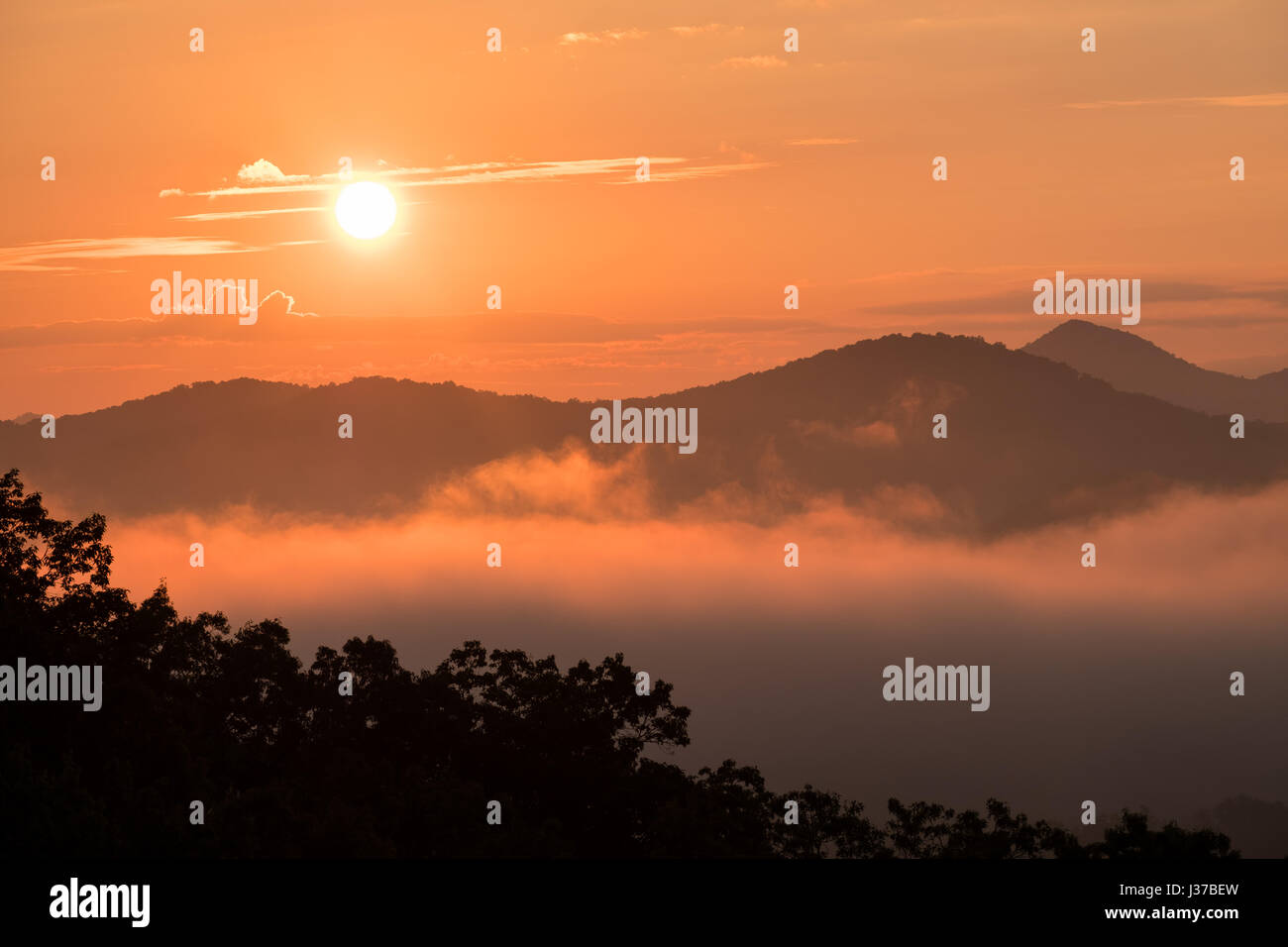 Sommer Sonnenaufgang über der große Smoky Mountains National Park, Tennessee Stockfoto