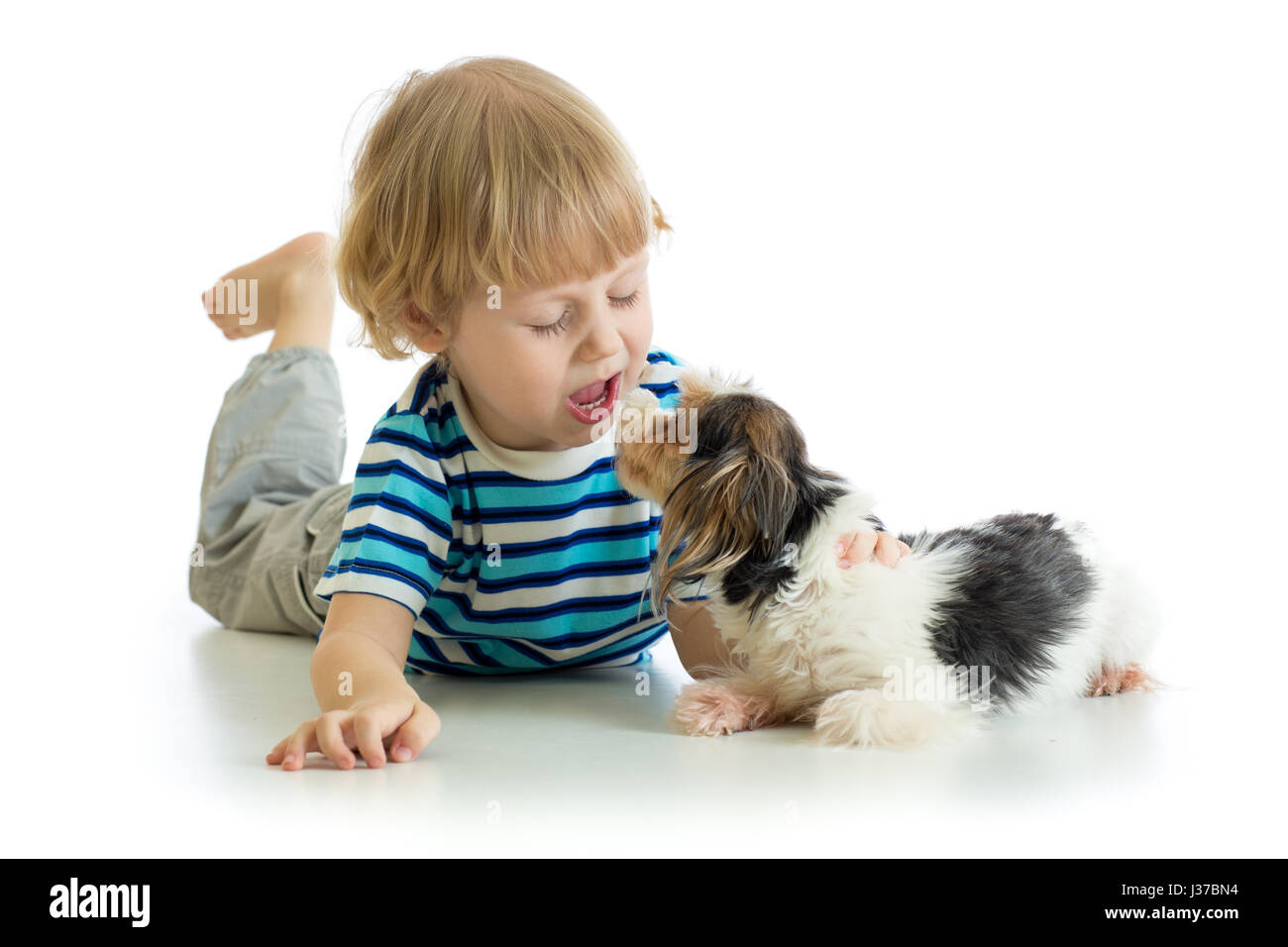 Lustige Kinder kleiner Junge küssen Welpen Hund, auf weißem Hintergrund isoliert Stockfoto