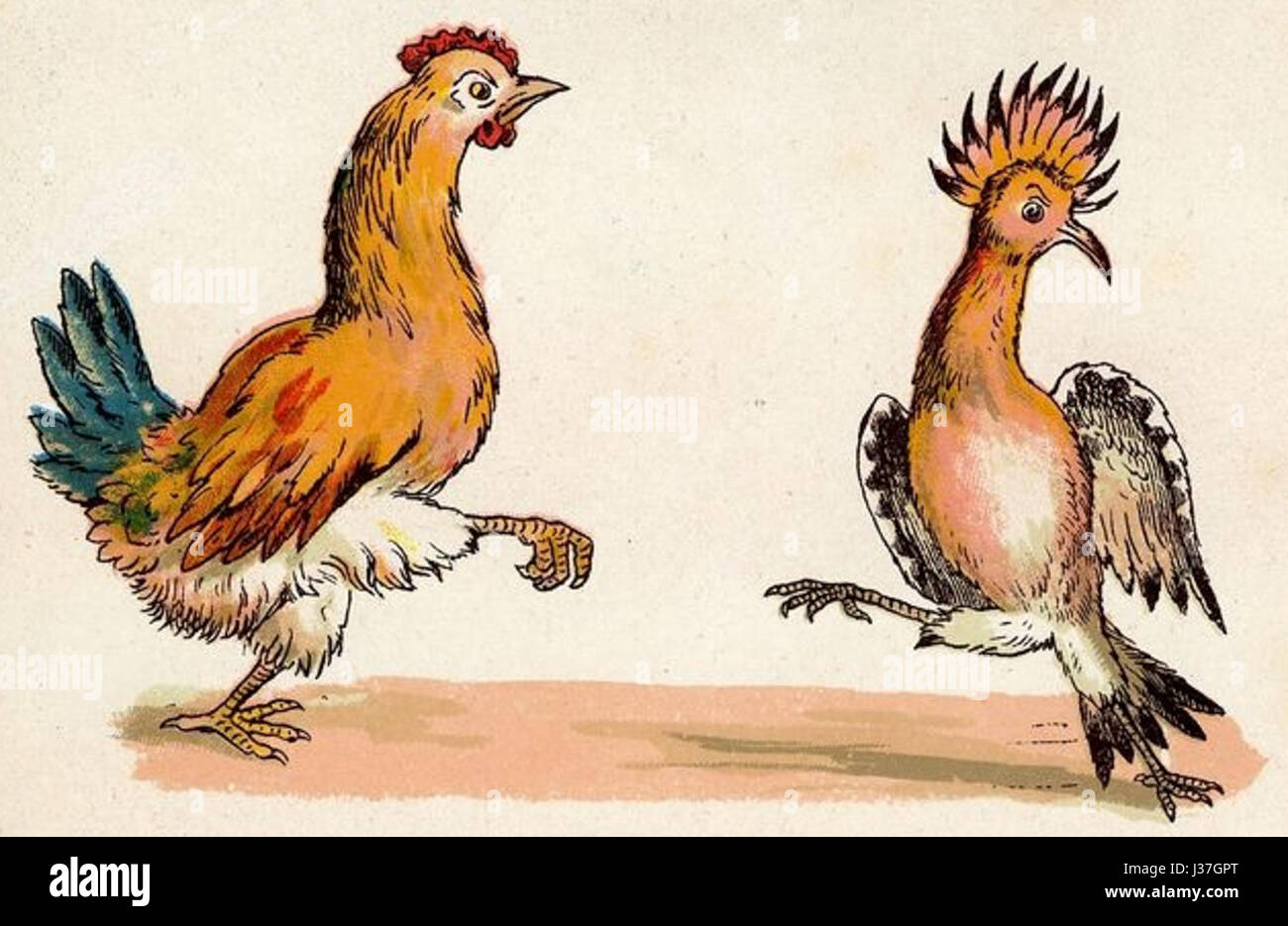 Der Ball der Tiere 14 Stockfoto