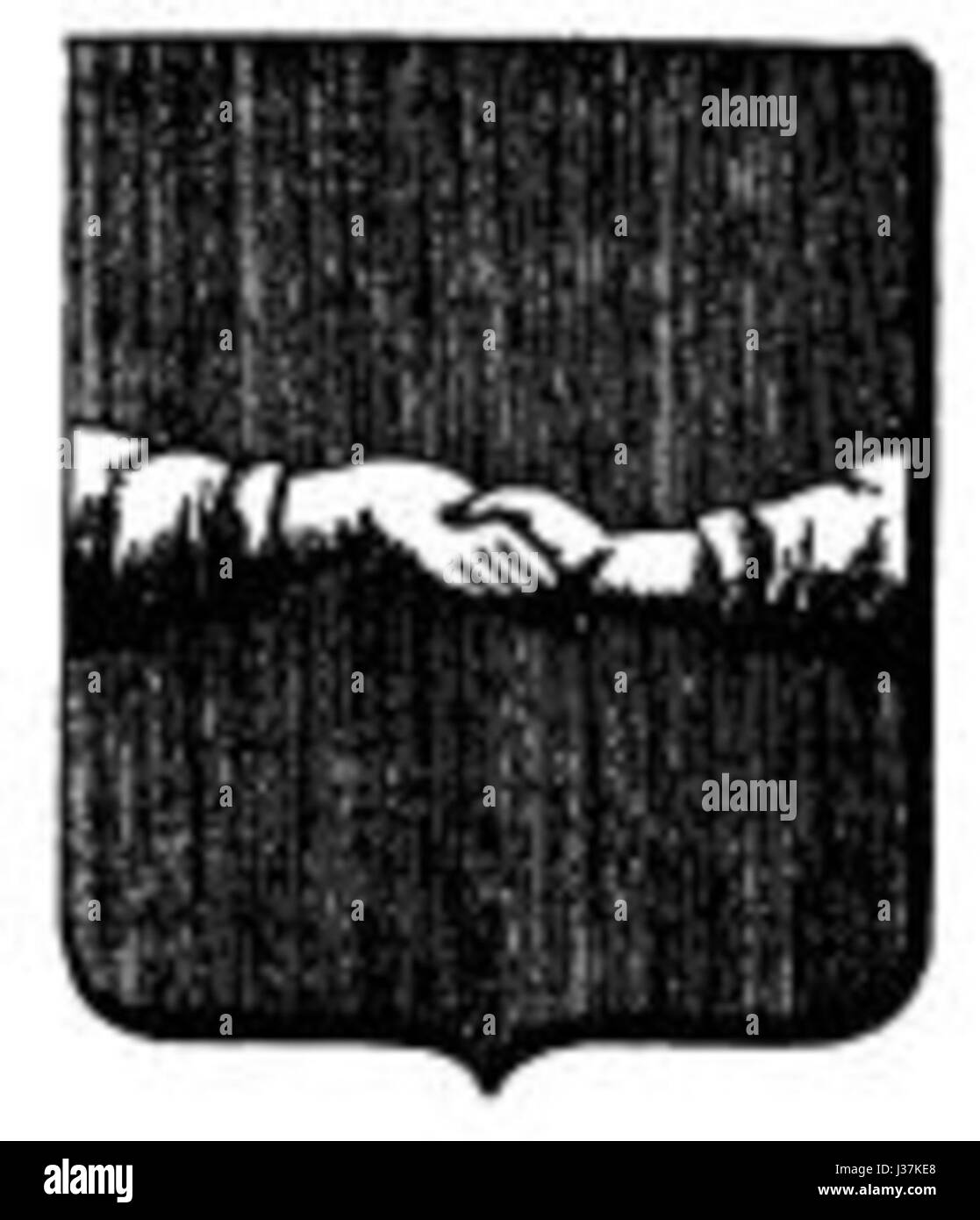 „Colores nacionales“ bezieht sich auf nationale Farben, die oft symbolisch für die Identität eines Landes sind. Diese Farben werden in Flaggen, Emblemen und nationalen Veranstaltungen hervorgehoben, um die kulturelle und historische Bedeutung einer Nation zu repräsentieren. Stockfoto