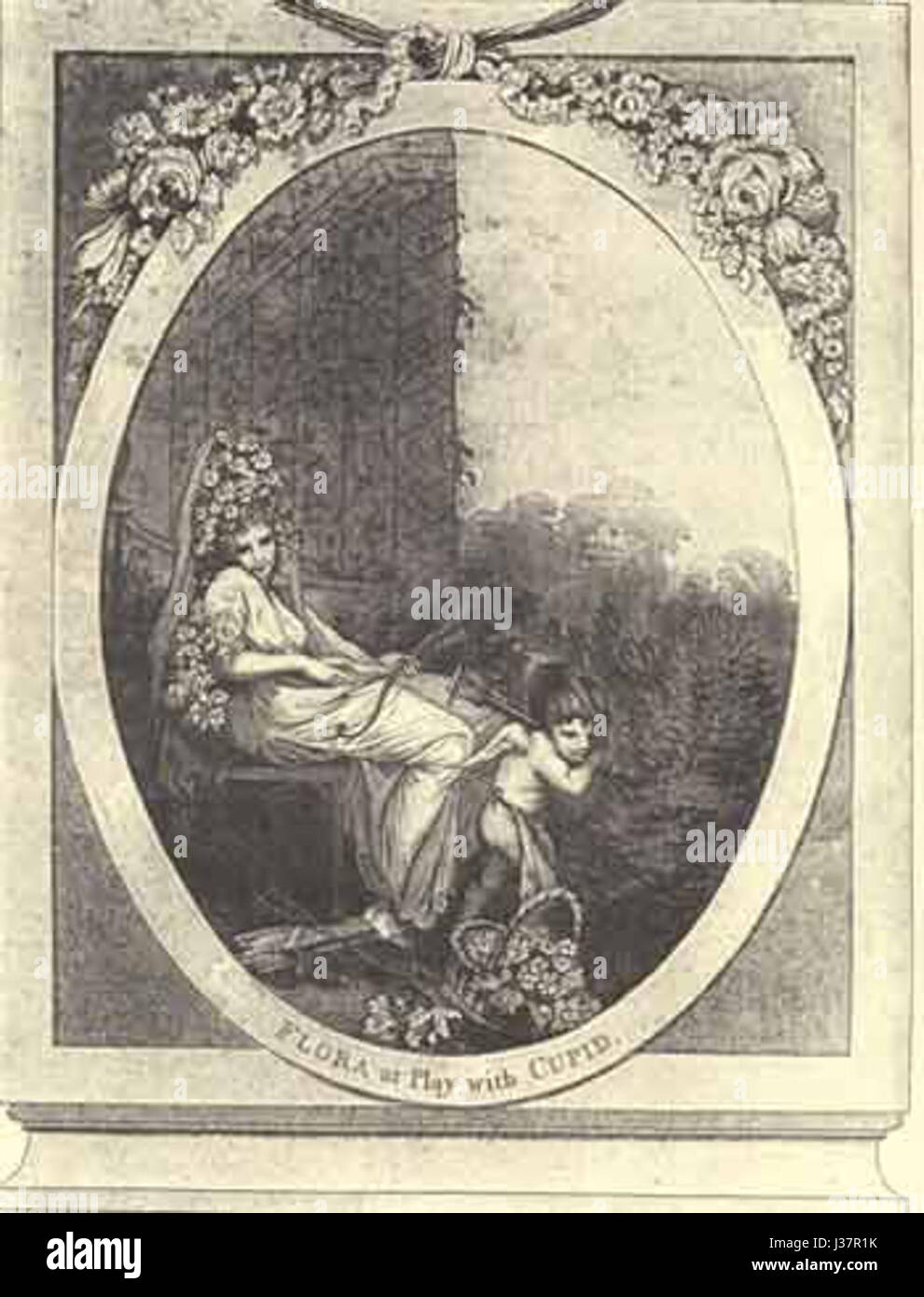 Crewe Flora ist eine botanische Sammlung, die die vielfältige Pflanzenwelt von Crewe, England, zeigt. Die Sammlung zeigt einheimische und eingeführte Arten, die als Ressource für Pflanzenstudien und Umweltschutz dienen. Stockfoto