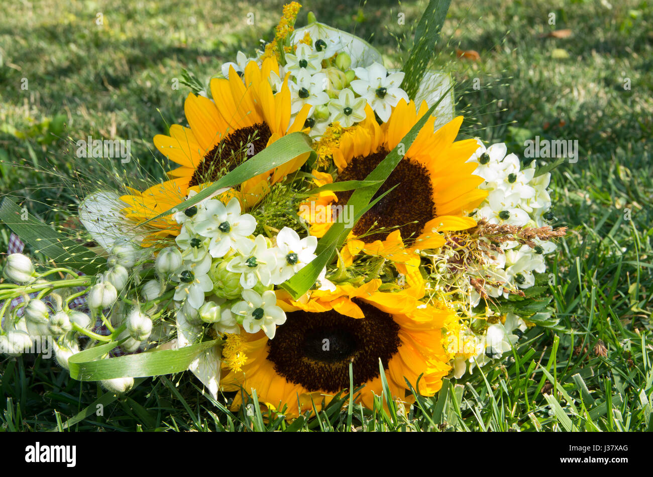 Brautstrauß von Wildpflanzen, Geranien, Sonnenblumen und Brautschuhe Stockfoto