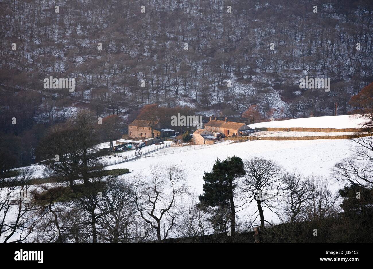 Abgelegenen Farm in englischen Landschaft im Winter, Derbyshire, UK Stockfoto