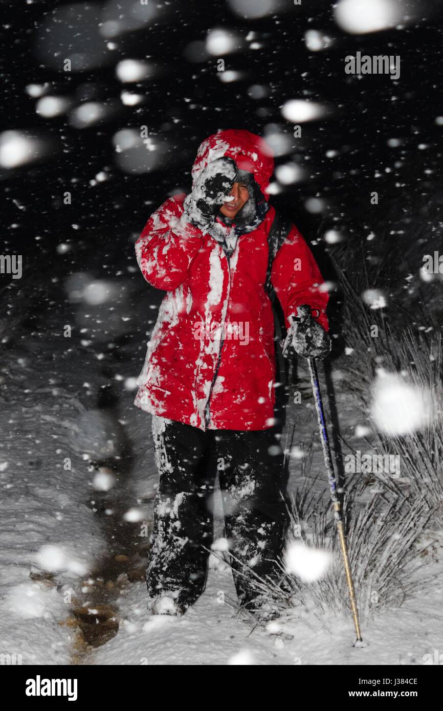 Wandern im Vereinigten Königreich in einem Schneesturm weiblich Stockfoto