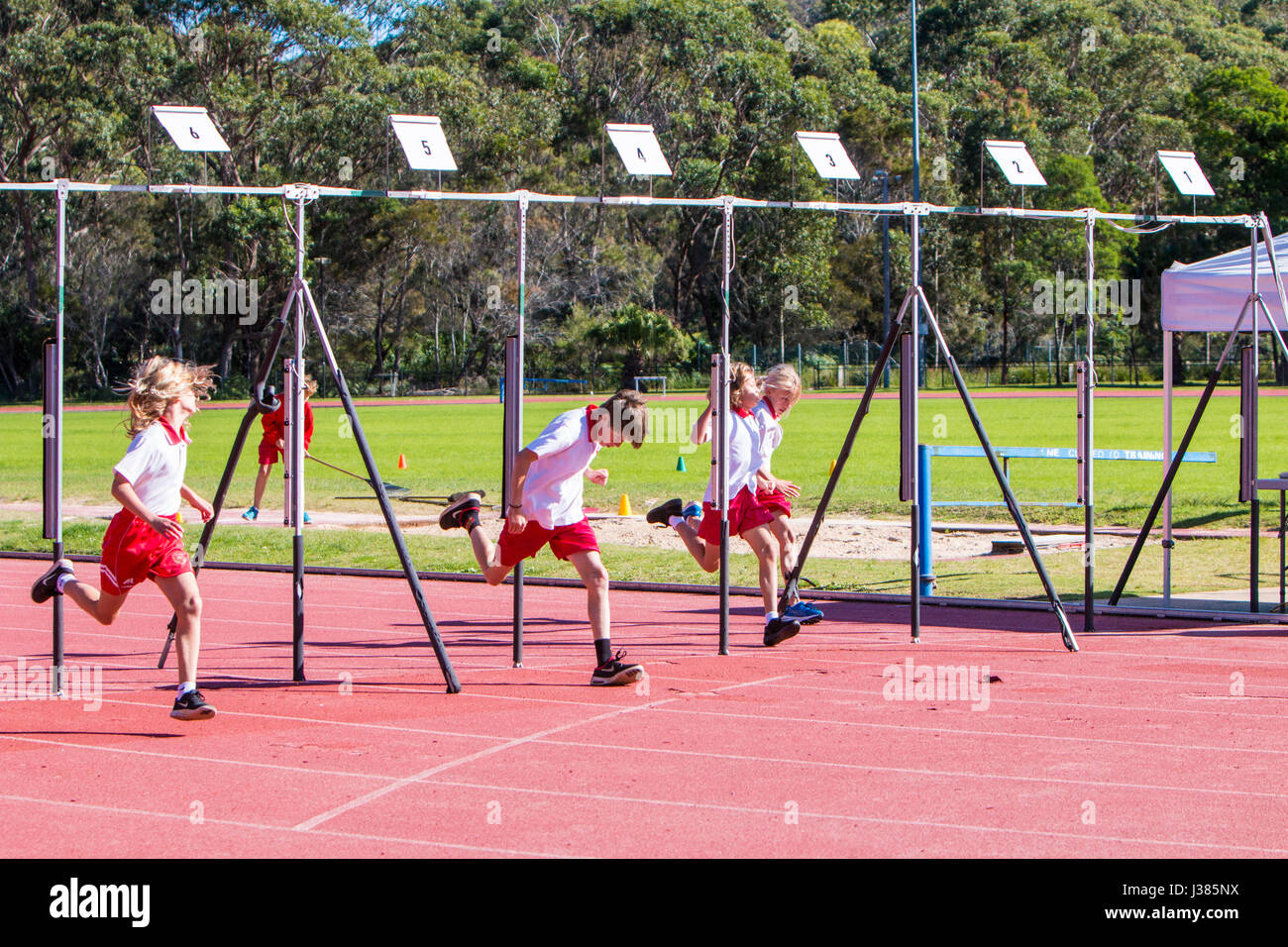 Grundschule australische teilnehmenden Kinder in der Grundschule 100 m Sprint dip an der Ziellinie, 1 Jahr Leichtathletik Veranstaltungen, Sydney, Australien Stockfoto
