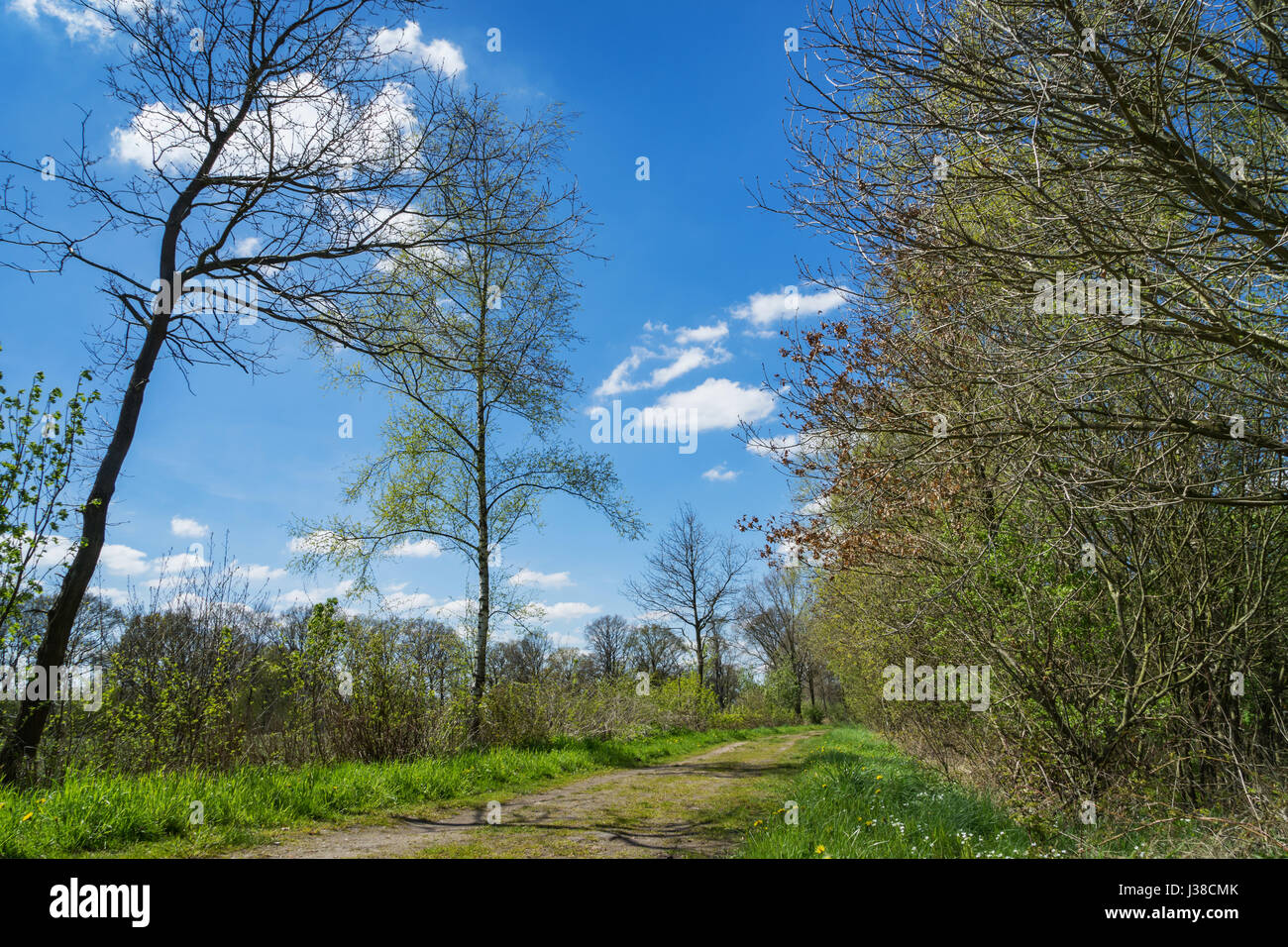 Torfabbau und die Renaturierung der Moorlandschaft in Schleswig-Holstein, Deutschland Stockfoto