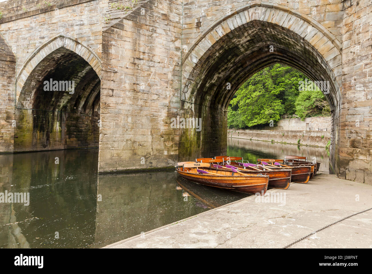 Vertäut Ruderboote zu mieten auf dem Fluss tragen neben Elvet Bridge im Stadtzentrum von Durham, England, UK Stockfoto