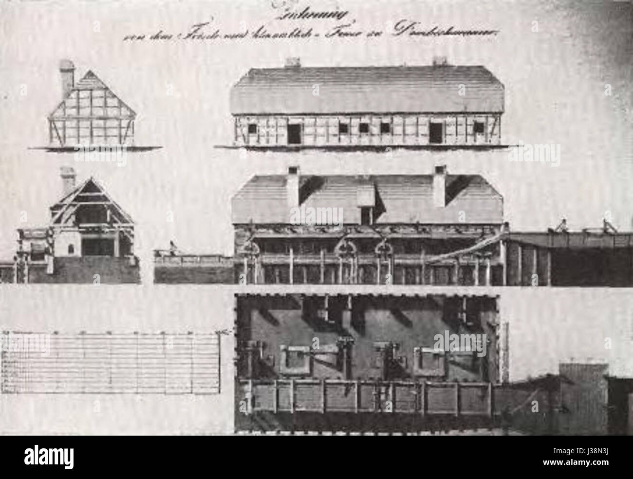 Dembiohammer Frischfeuer Stockfoto