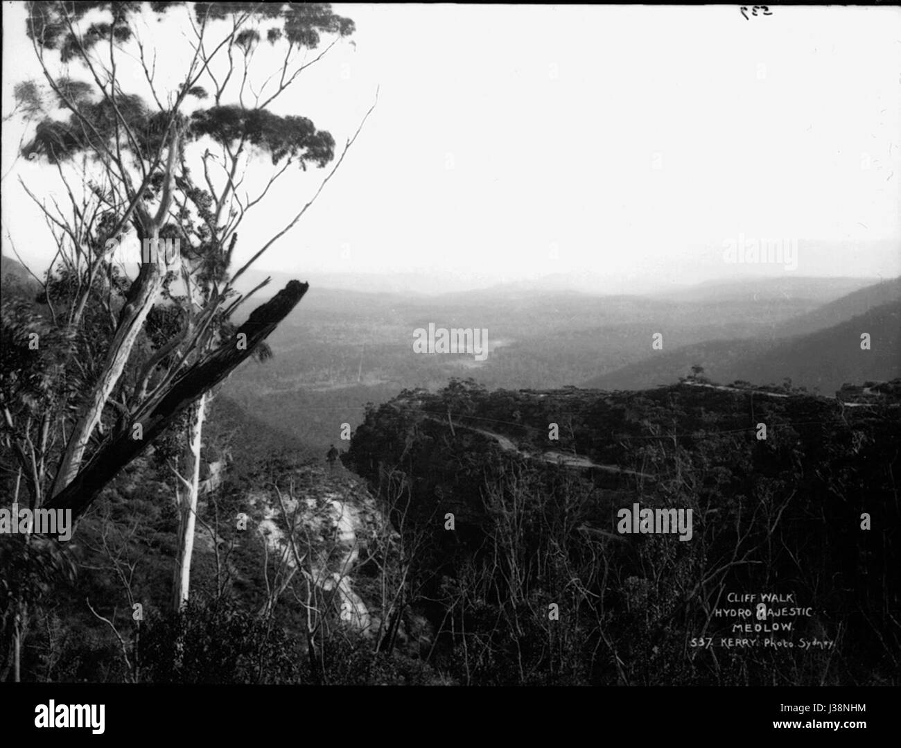 Cliff Walk, Hydro Majestic Medlow Stockfoto